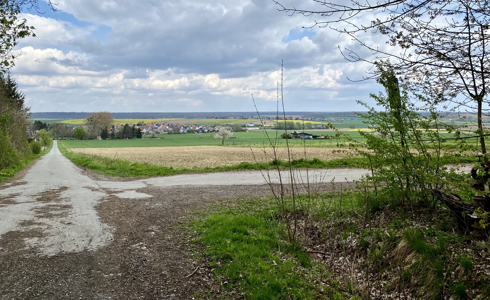 Blick aus dem Elm auf Warberg