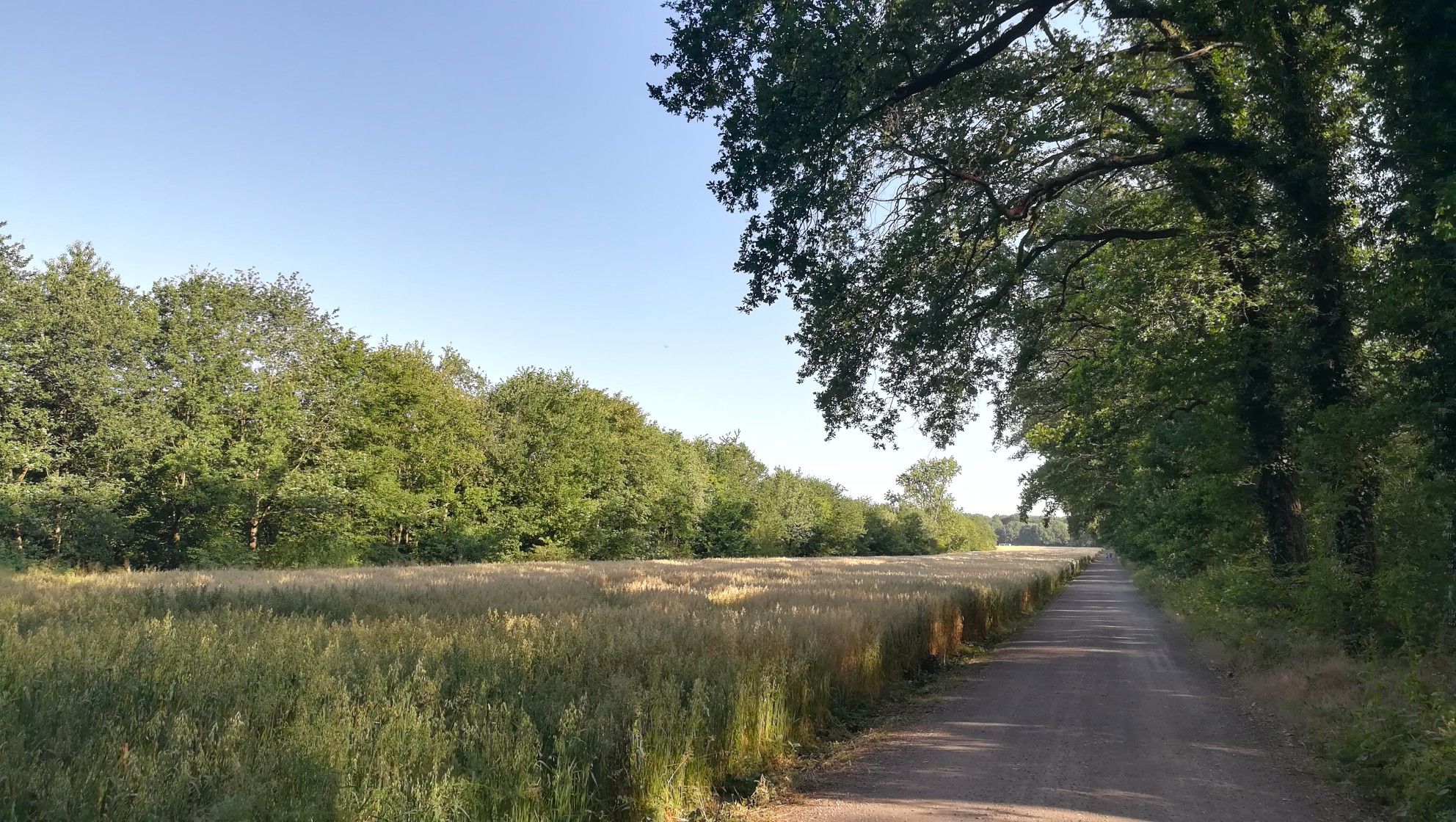 Sehr schöner Fuß- und Radweg
