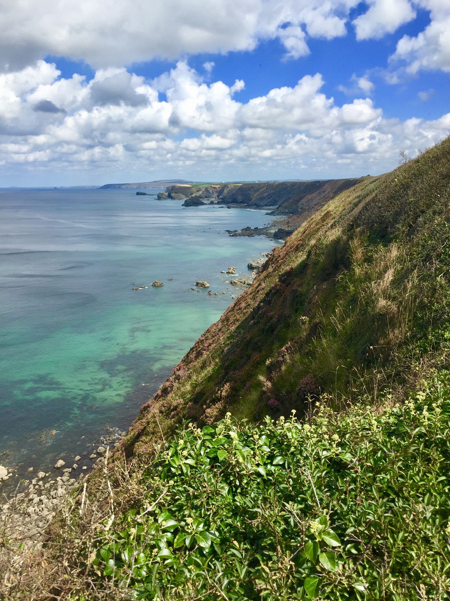North Cornish cliffs