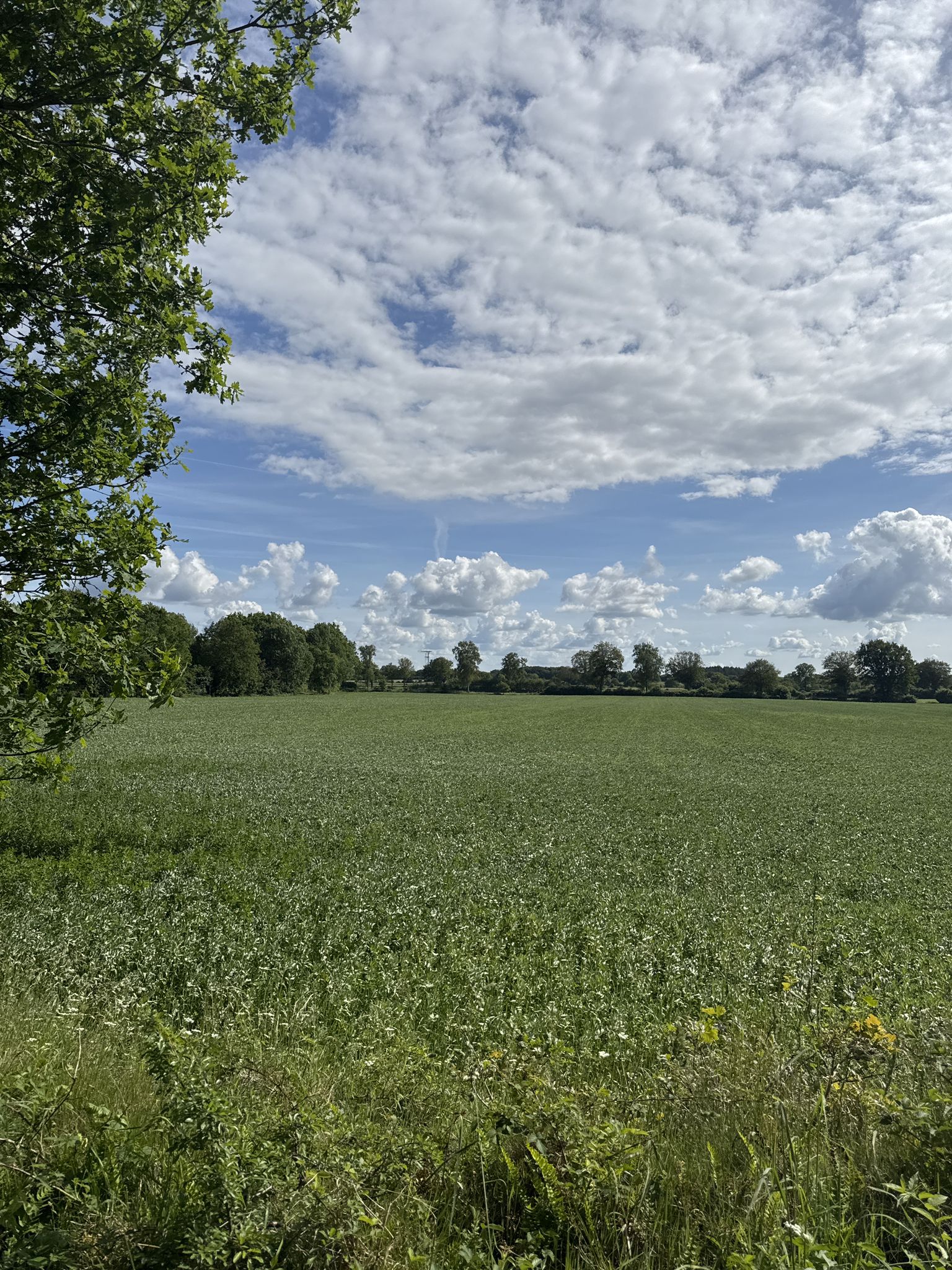 schönes Wetter