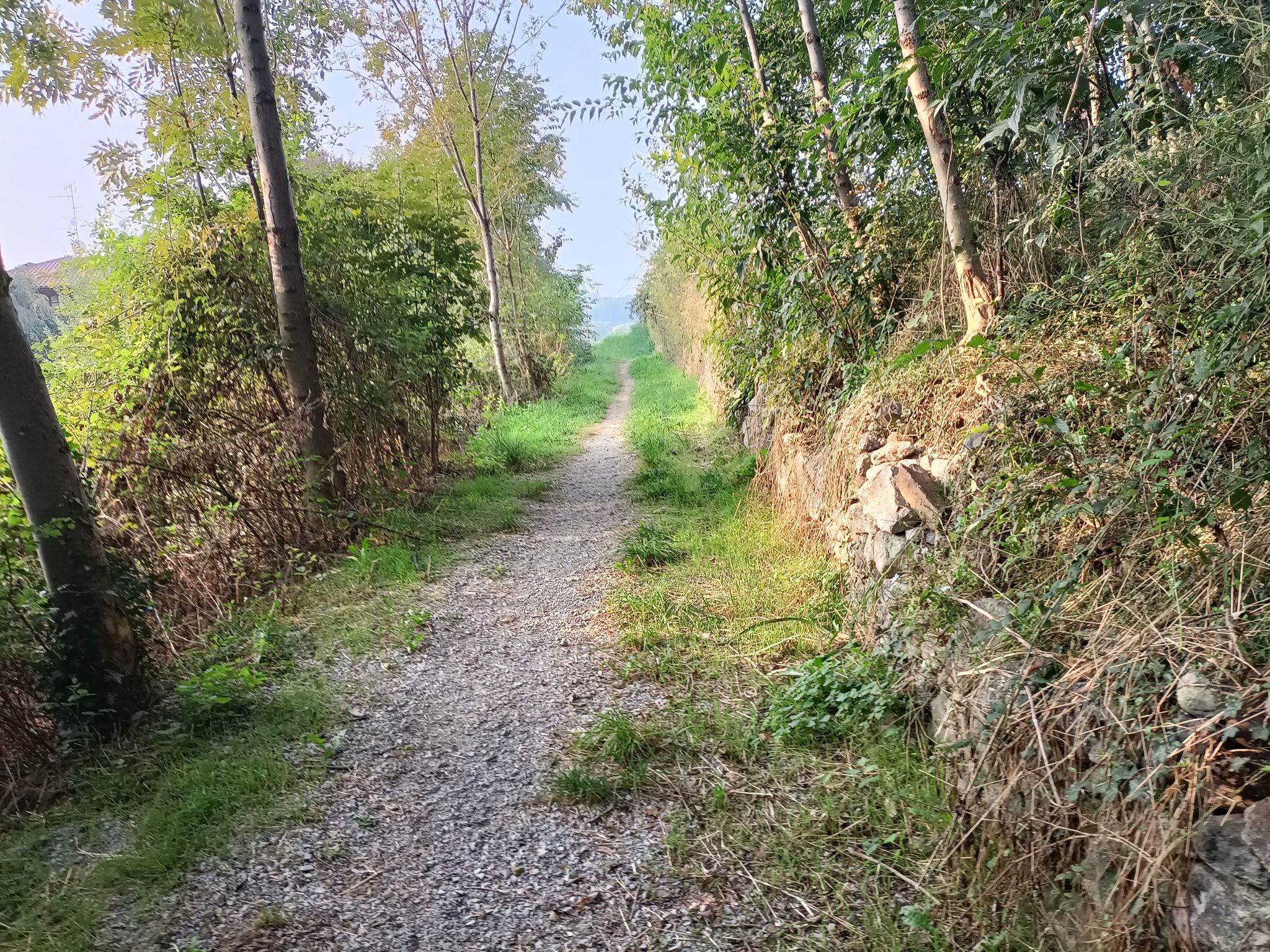 Sentiero tra Parzano e Orsenigo.