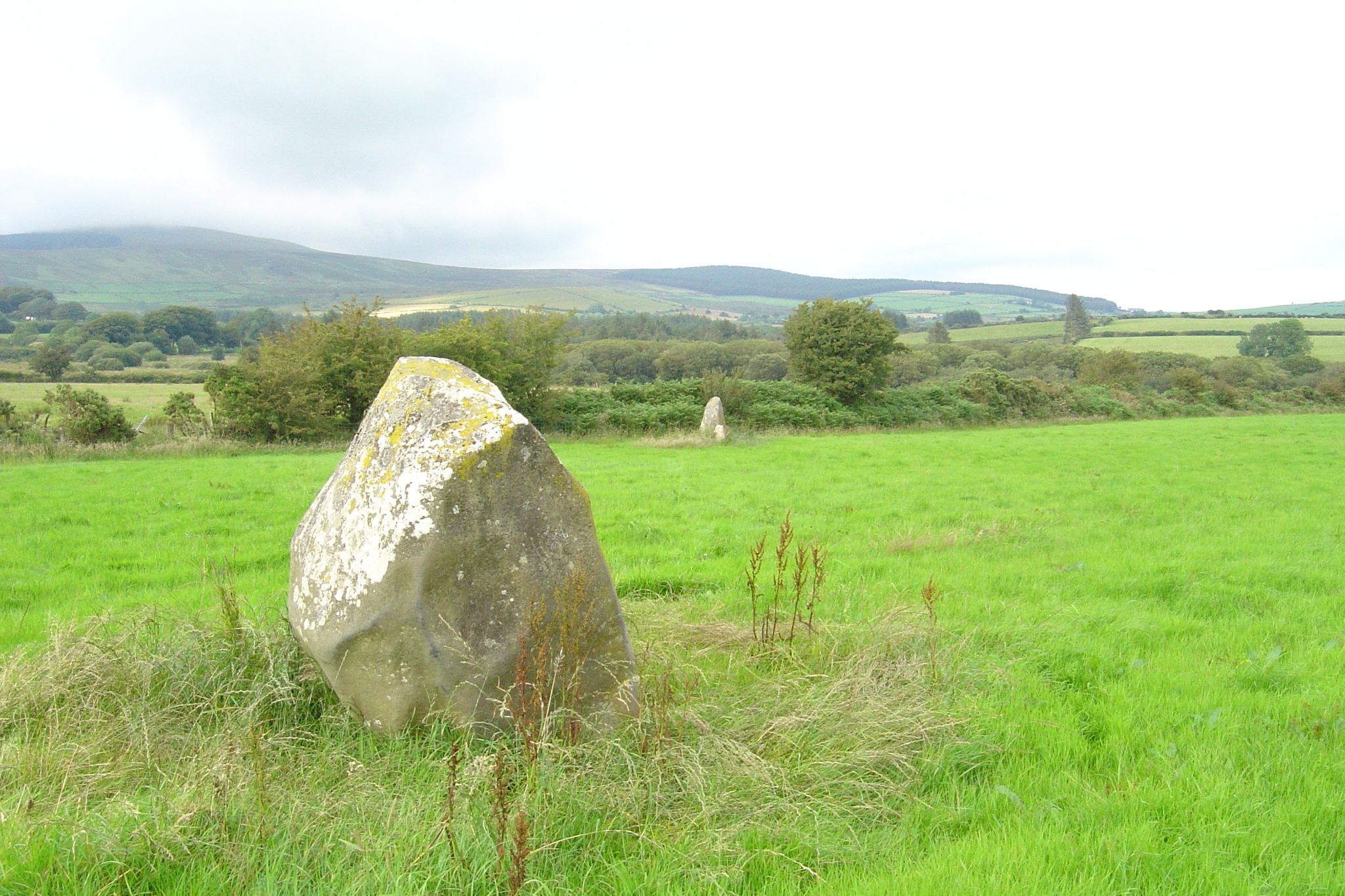 Maenclochog Standing Stones
