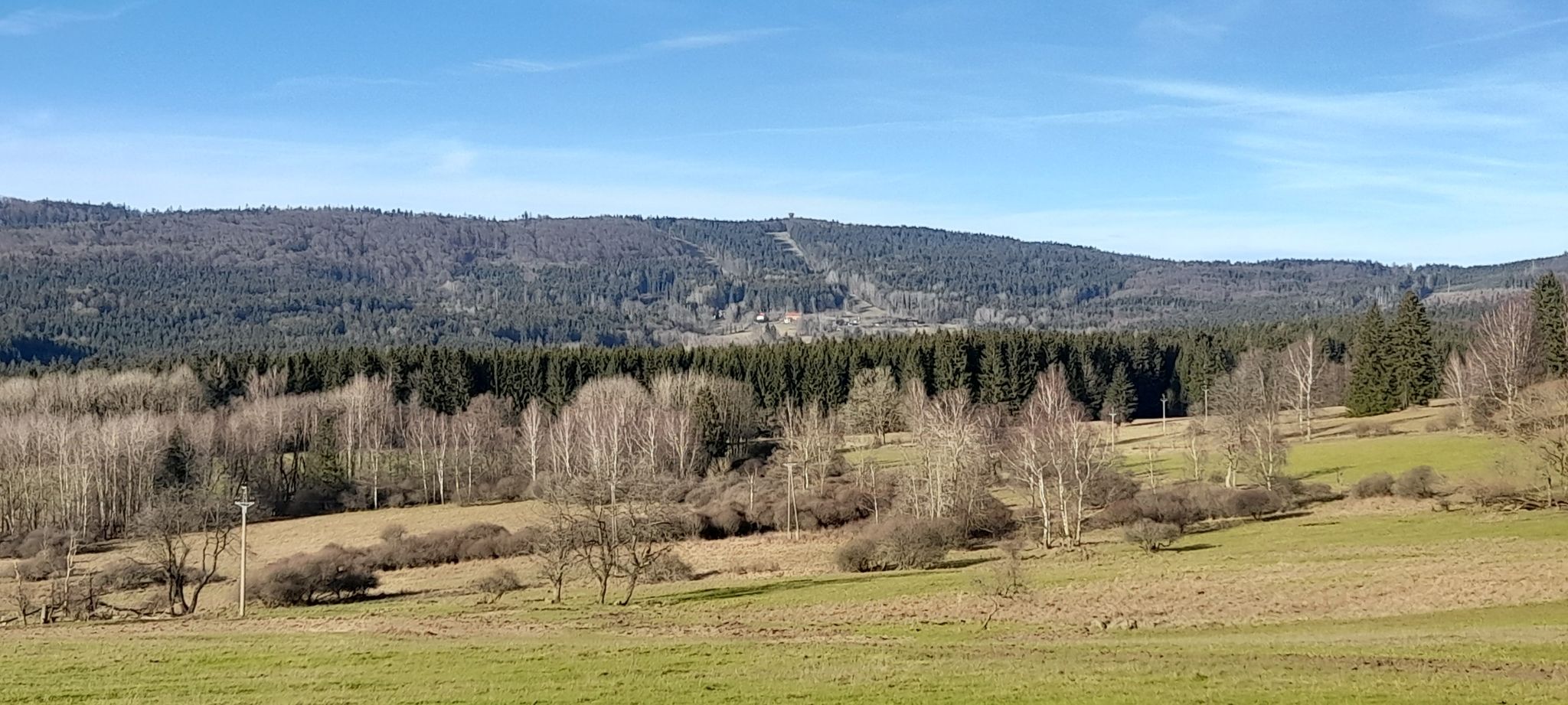 Waldhäuser / Böhmerwaldturm