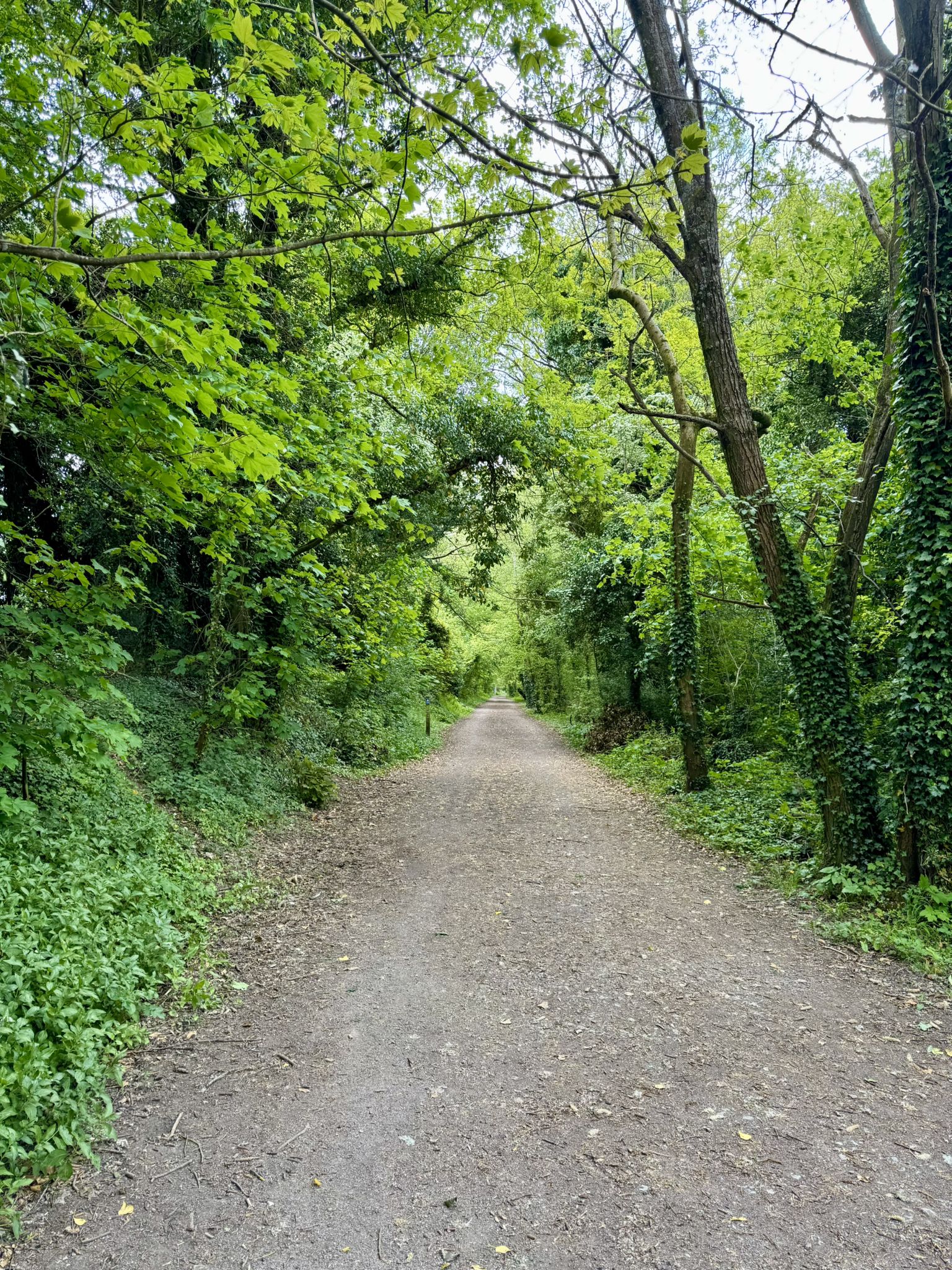 Chiseldon & Marlborough Railway Path