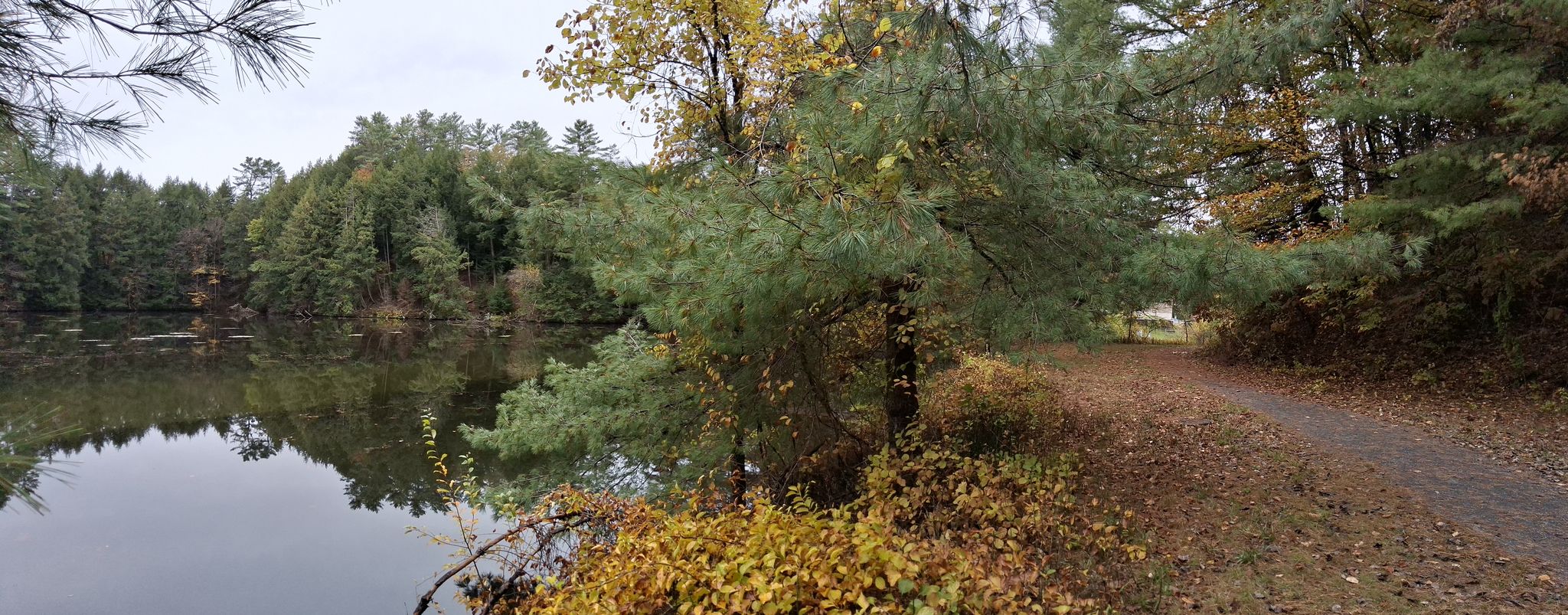 Lake reflecting autumn trees under an overcast sky, with a dirt path. - Mink Brook Trail