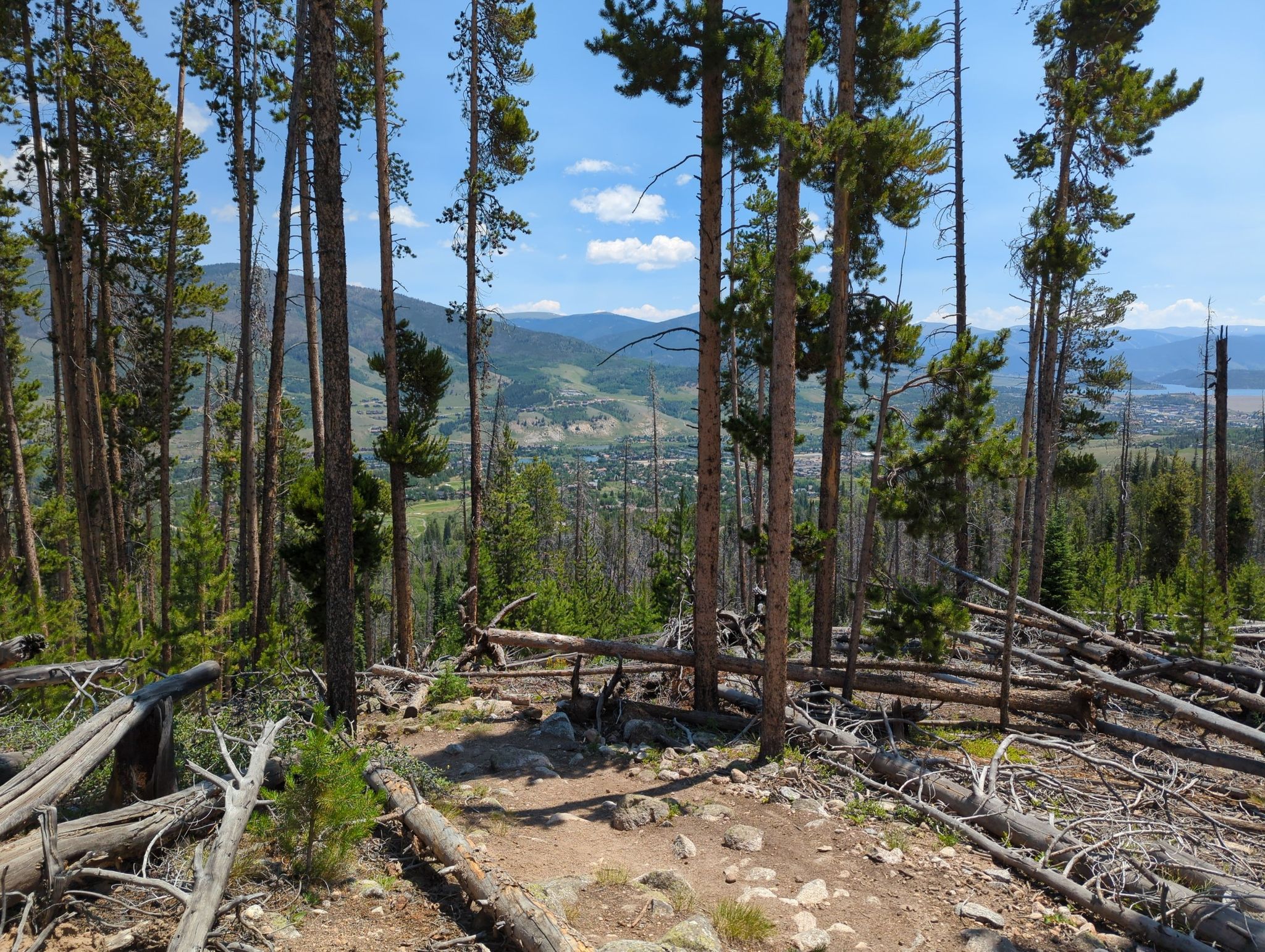 Sunny forest clearing with fallen logs overlooking a distant valley and mountains. - Salmon Lake via Gore Range Trail