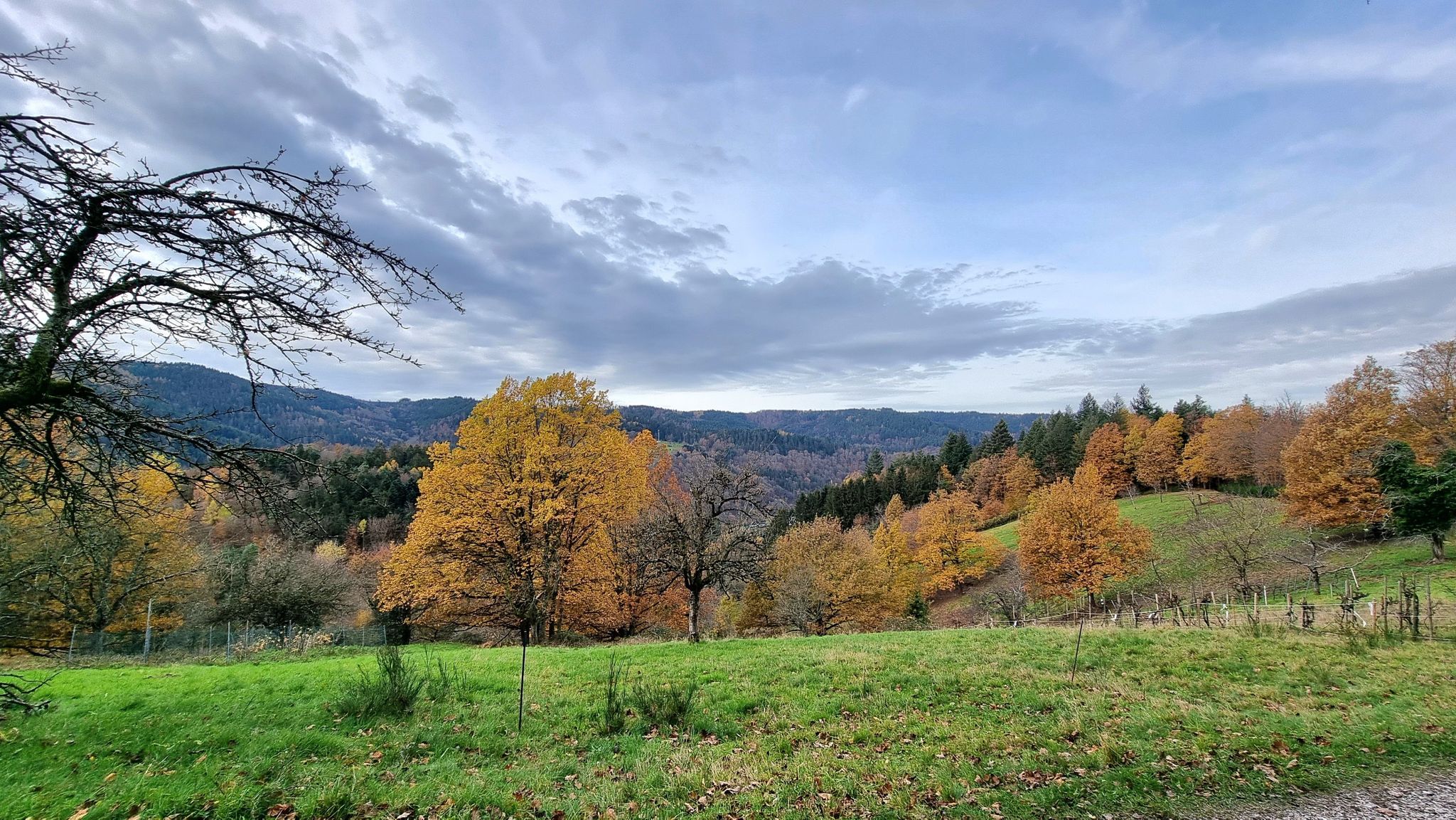 Naturschutzgebiet