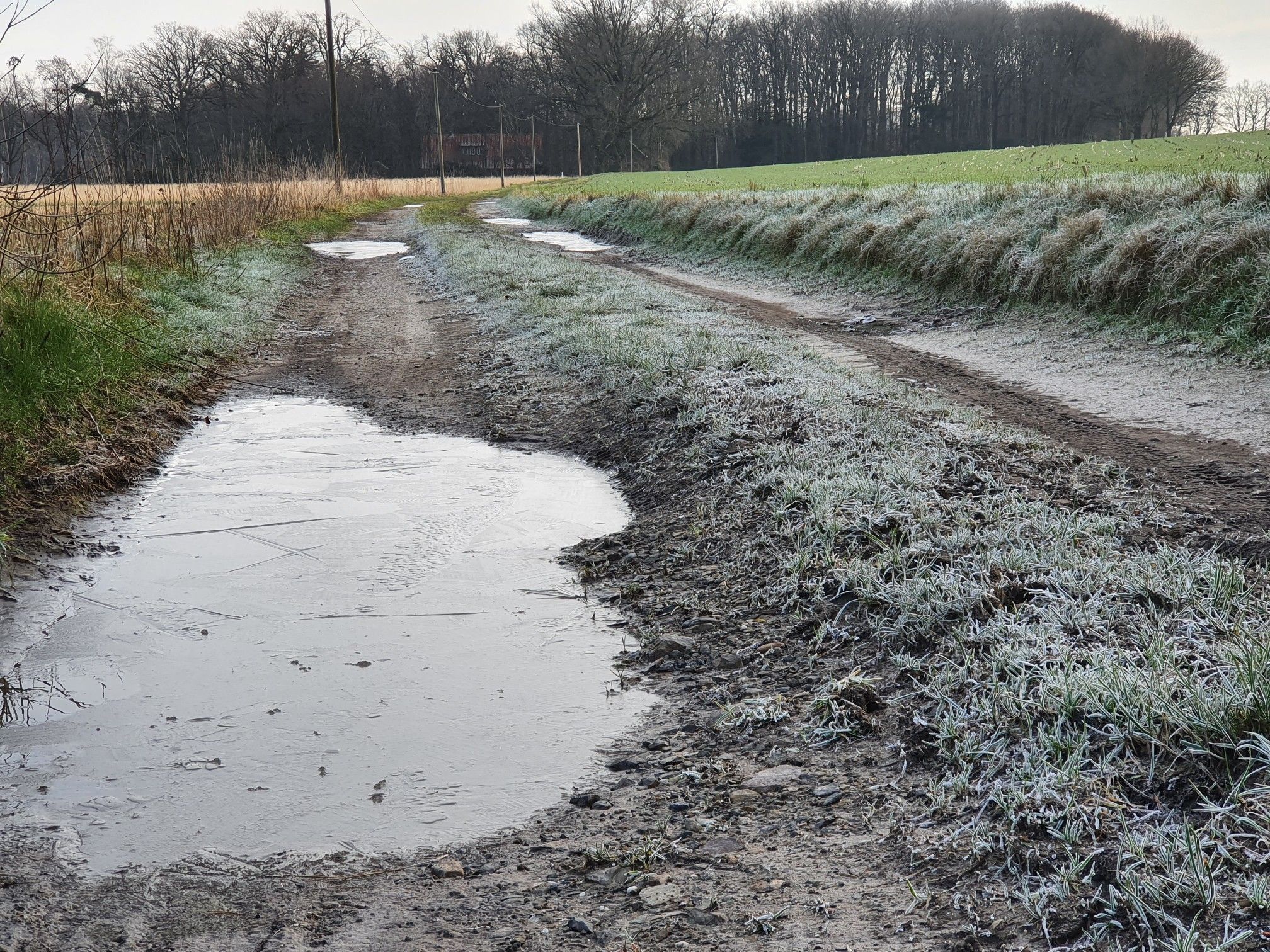 Am meteorologischen Frühlingstag sind Pfützen von einer dünnen Eisschicht überzogen.