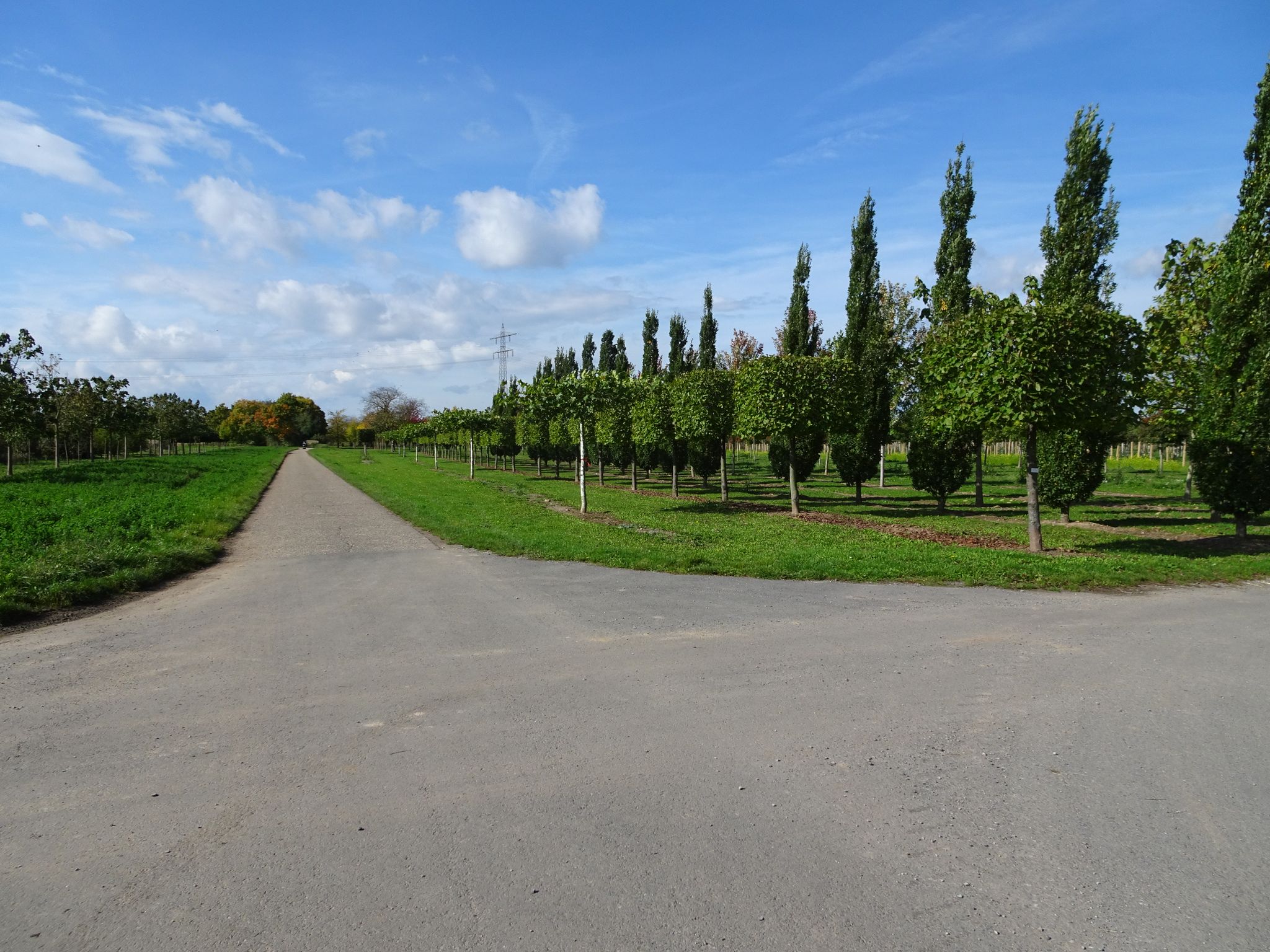 Gartenanlagen am Rindweg