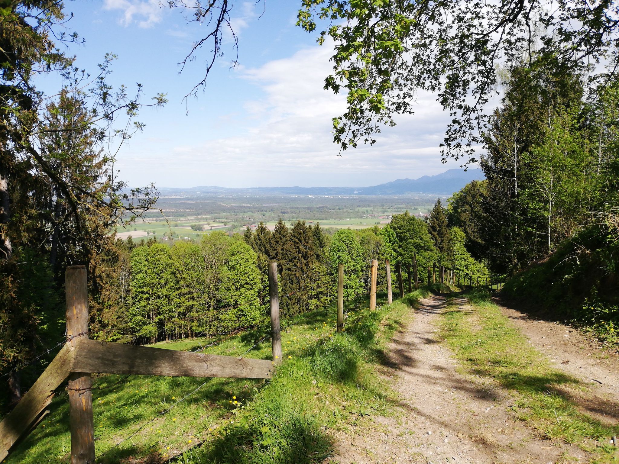 Ausblick Engelsried