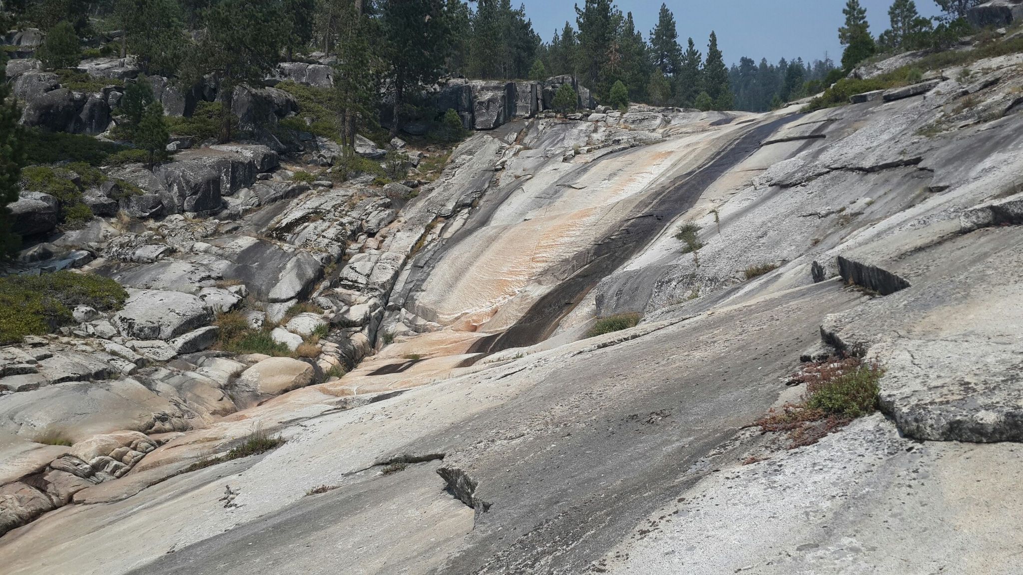 Expansive, smooth granite rock slope with some trees under a clear sky. - High Sierra Trail: Crescent Meadow to Bearpaw Meadow