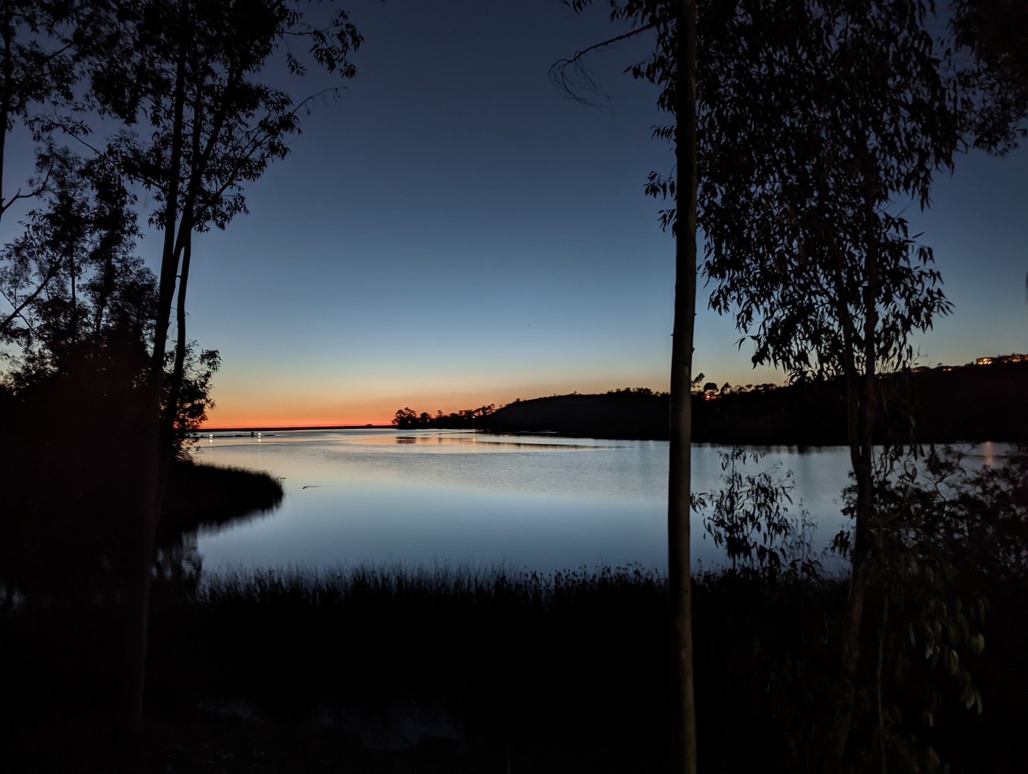 Dark silhouettes of trees frame a calm lake at sunset with an orange horizon. - Lake Miramar loop from San Diego Miramar College