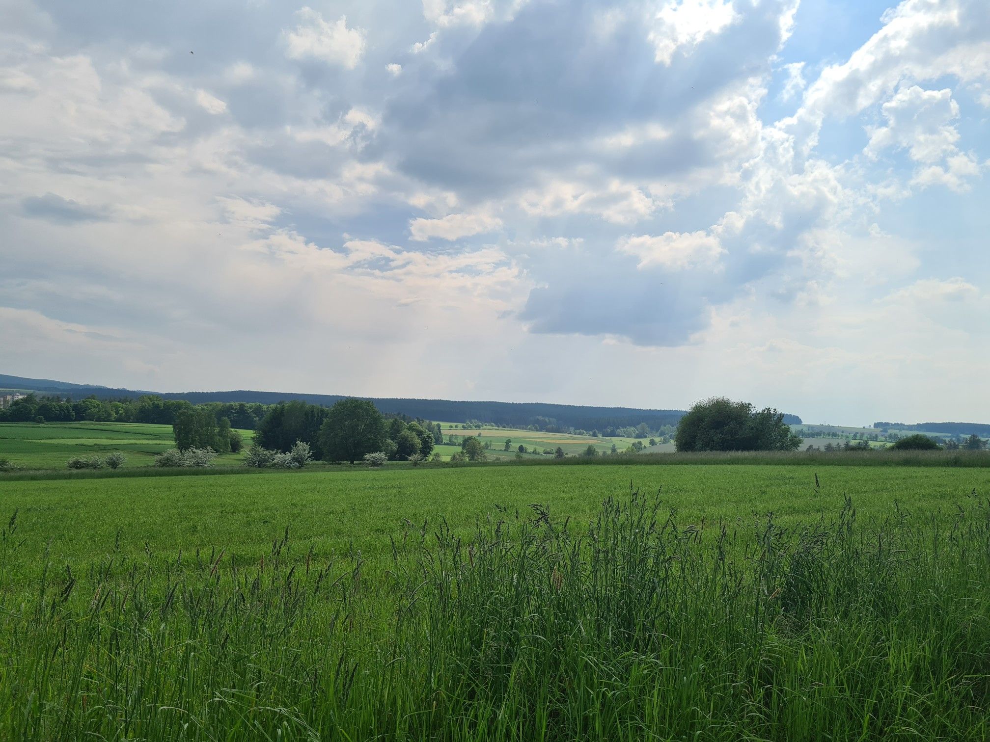 Schöne Aussicht