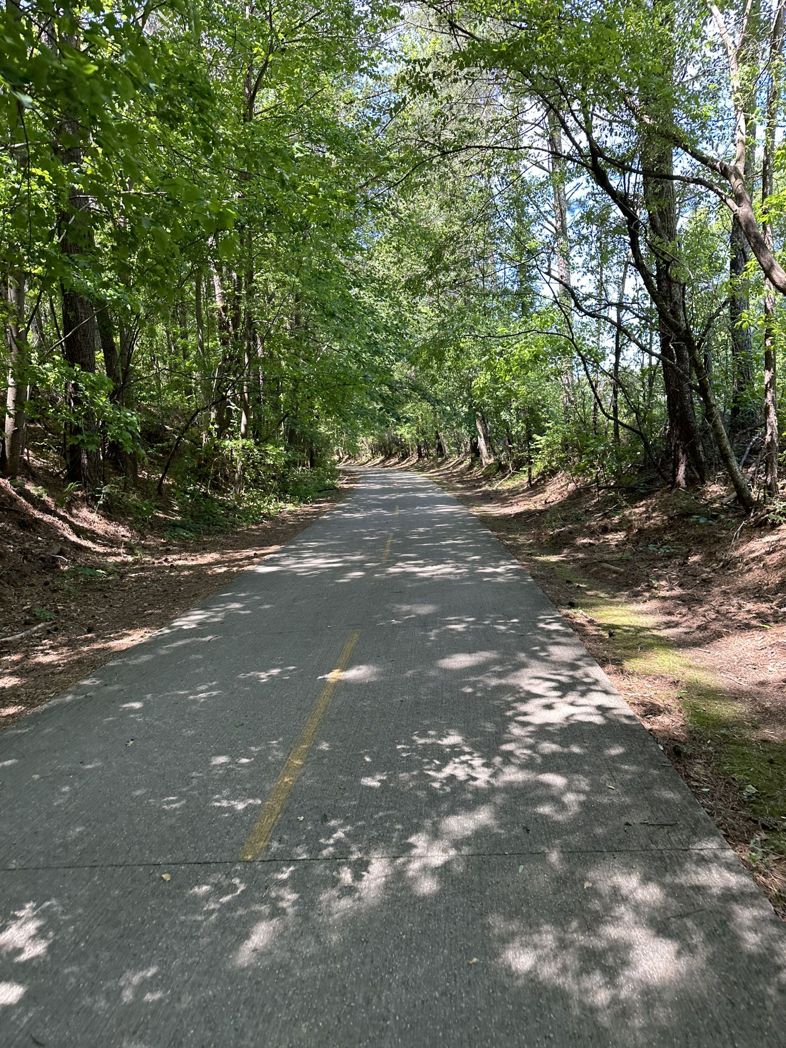 Paved path winding through a sun-dappled forest with green trees. - Bike loop from Rambo Trailhead