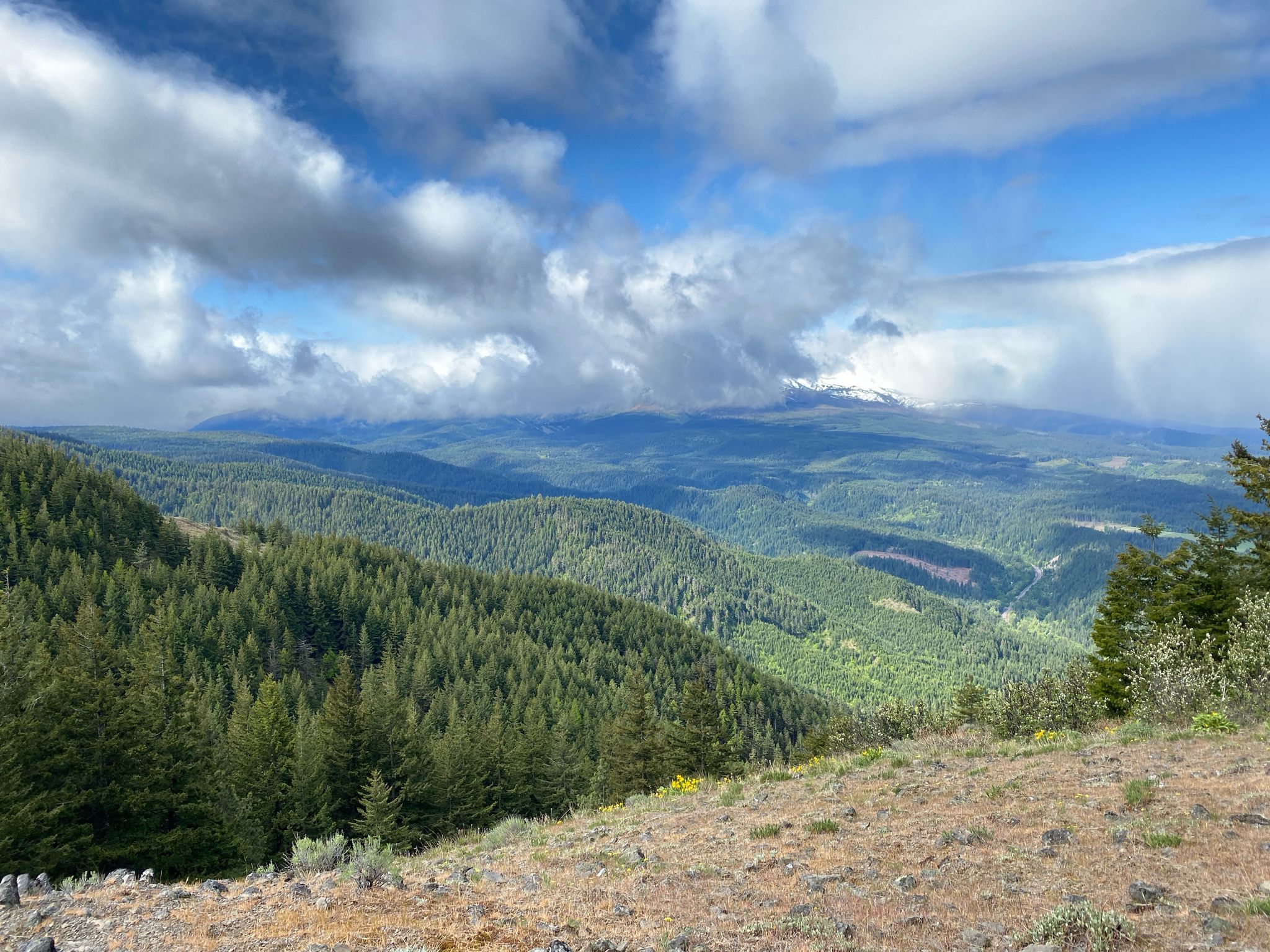 Vast forested mountain landscape under a partly cloudy sky. - Surveyor's Ridge Trail Loop