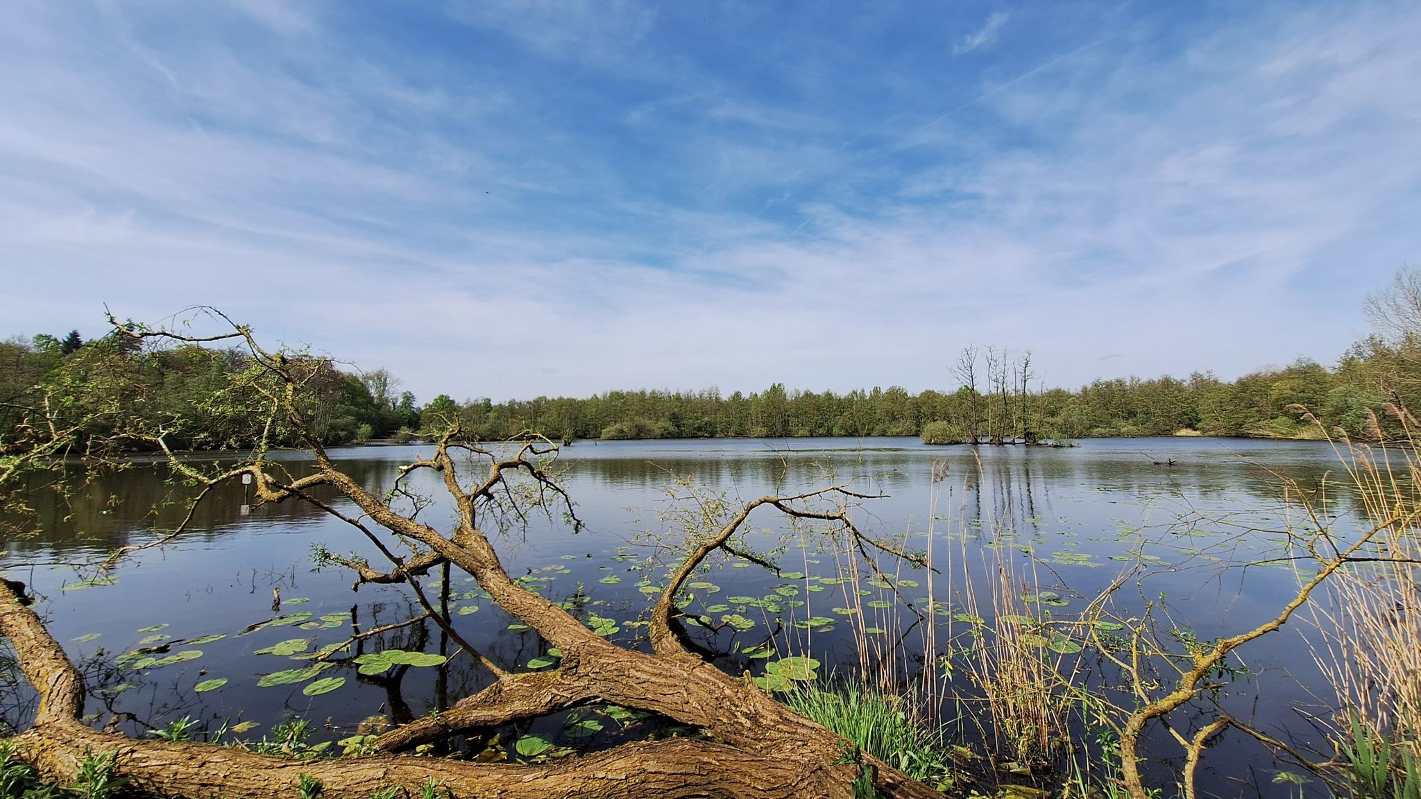 Putten van Lacourt