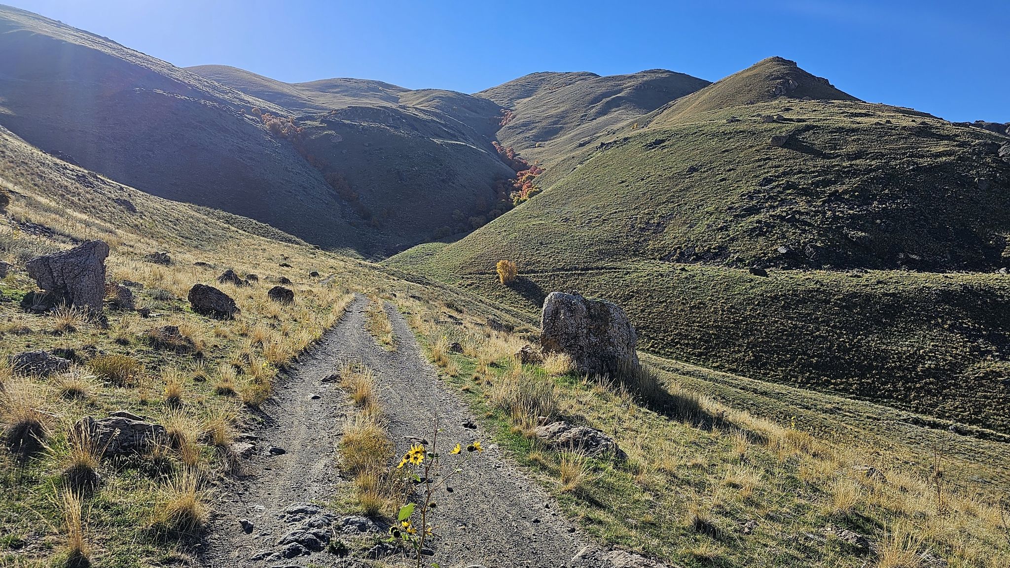 A dirt road winding through green and brown hills under a clear blue sky. - Elephant Head and Mormon Rocks Loop