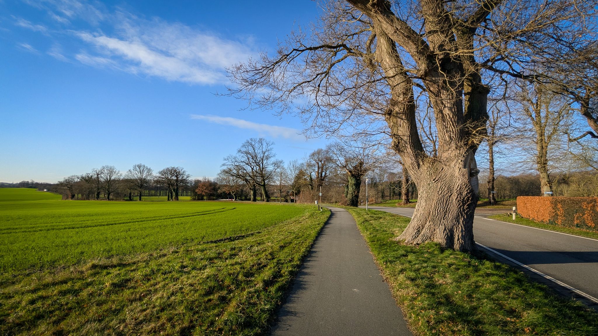 Entlang der kurvigen Landstraße von Hohwacht nach Lütjenburg