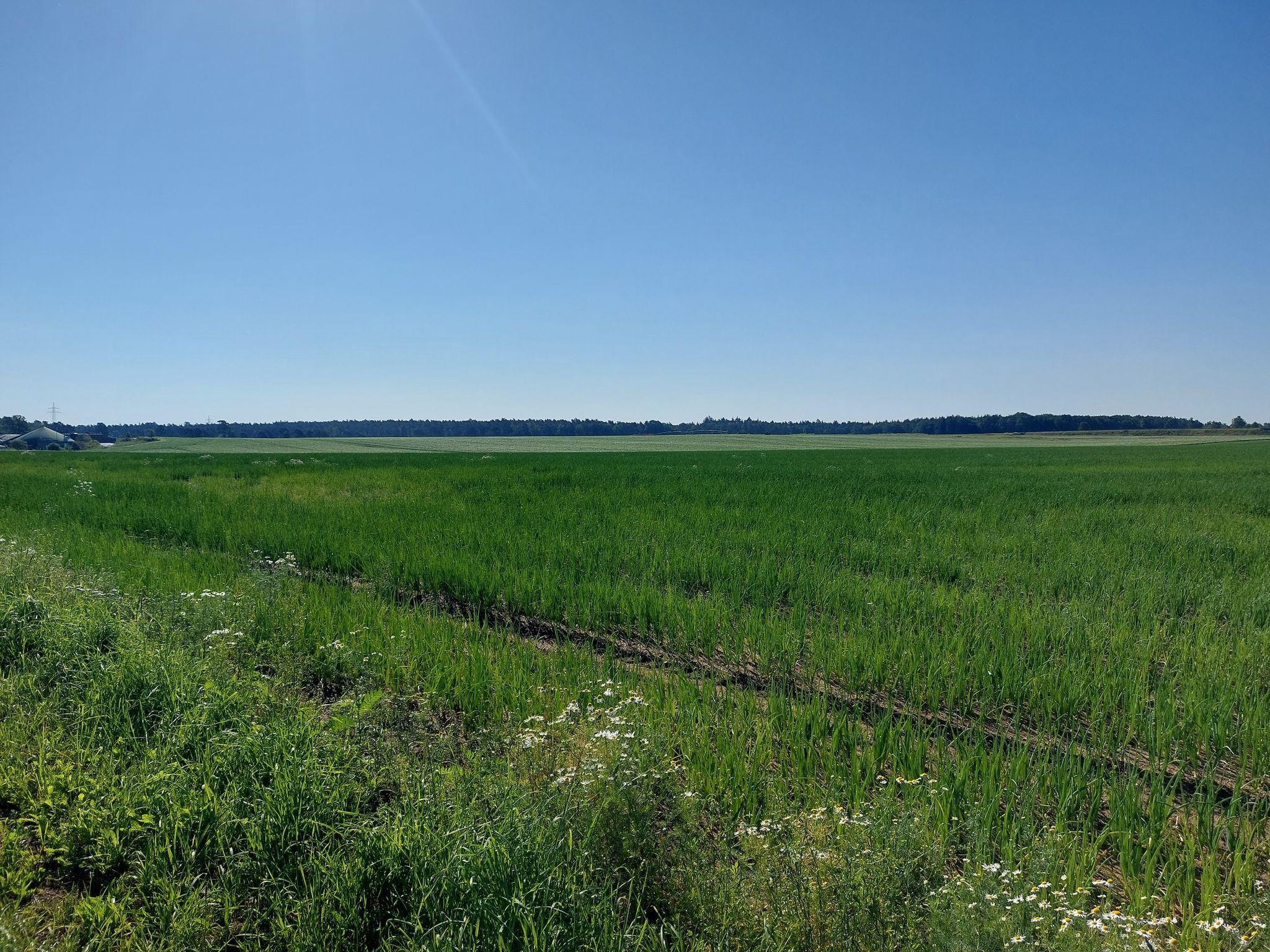 Einer von vielen schönen Aussichten heute am Wegesrand!