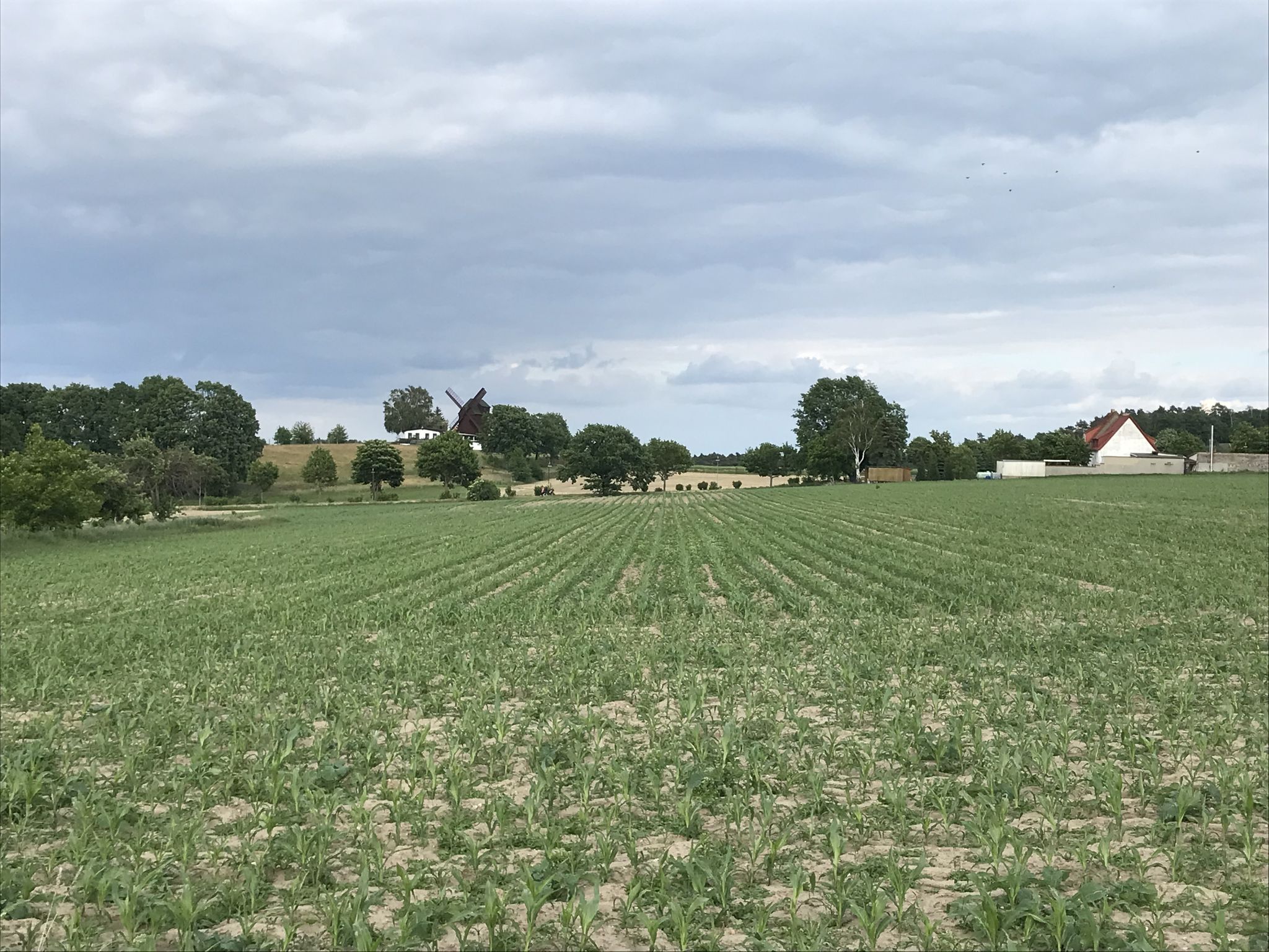 Passstraße