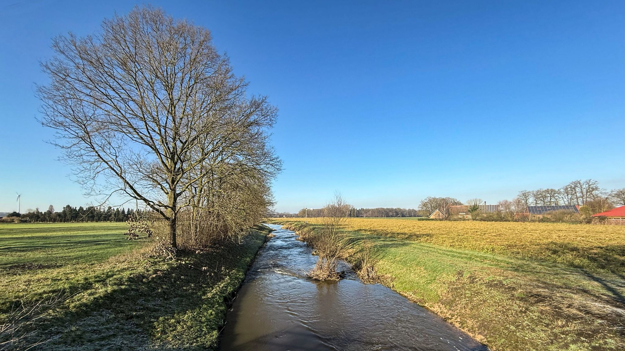 Bever bei Schirl