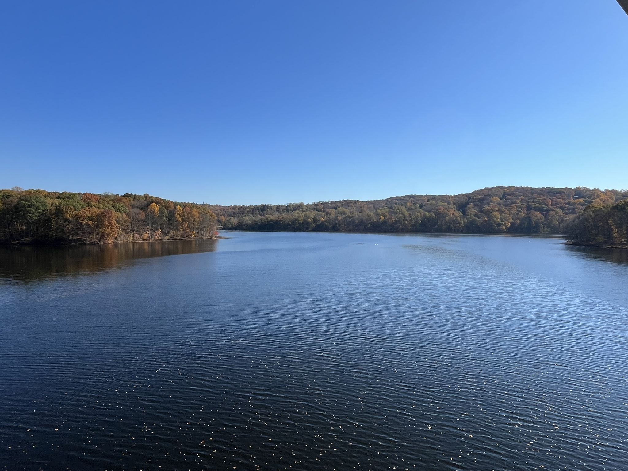Expansive lake surrounded by autumn-colored trees under a clear blue sky. - Maybrook Trailway – Whaley Lake loop from Tarrytown