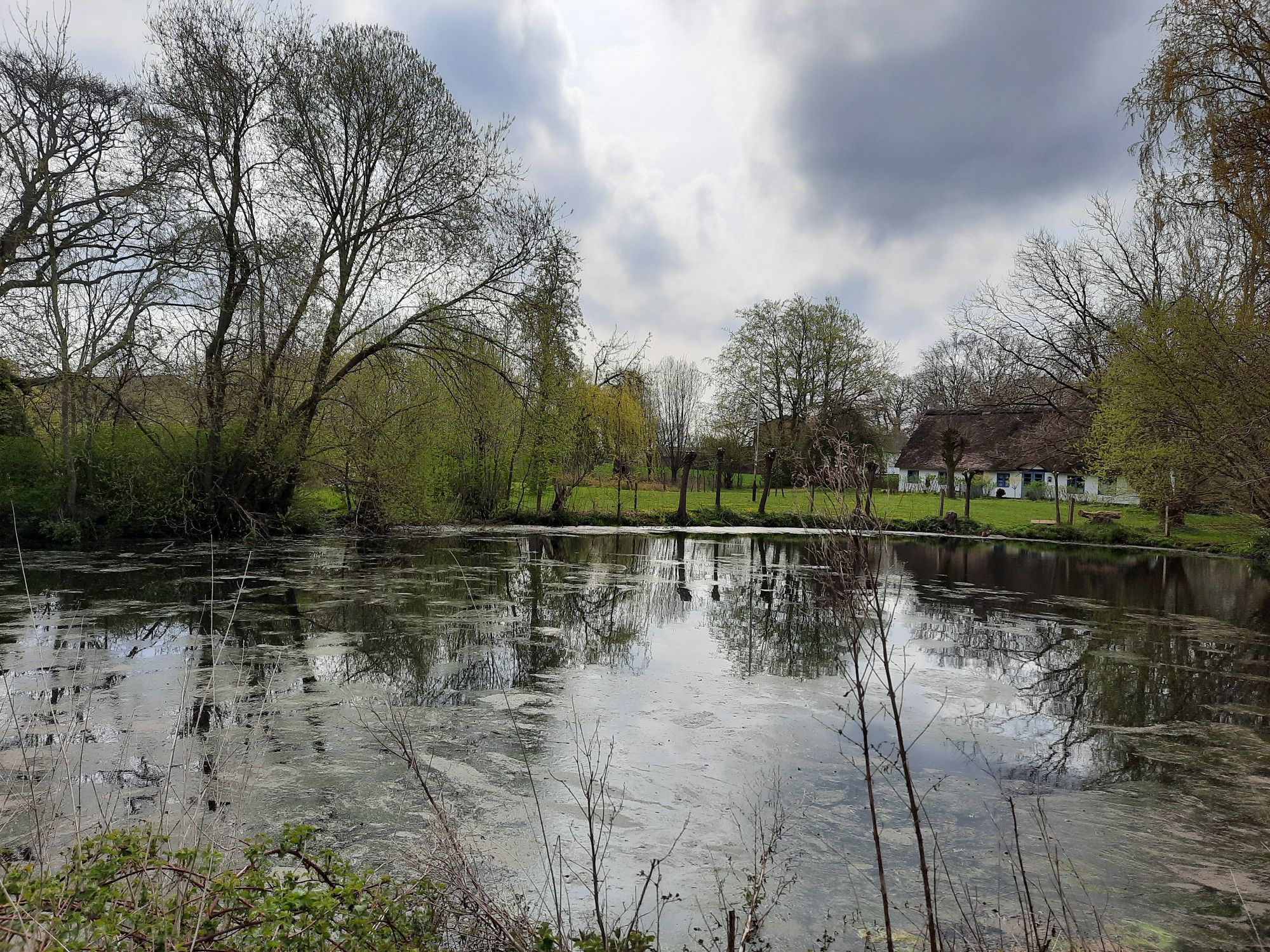 Dorfteich in Wippendorf