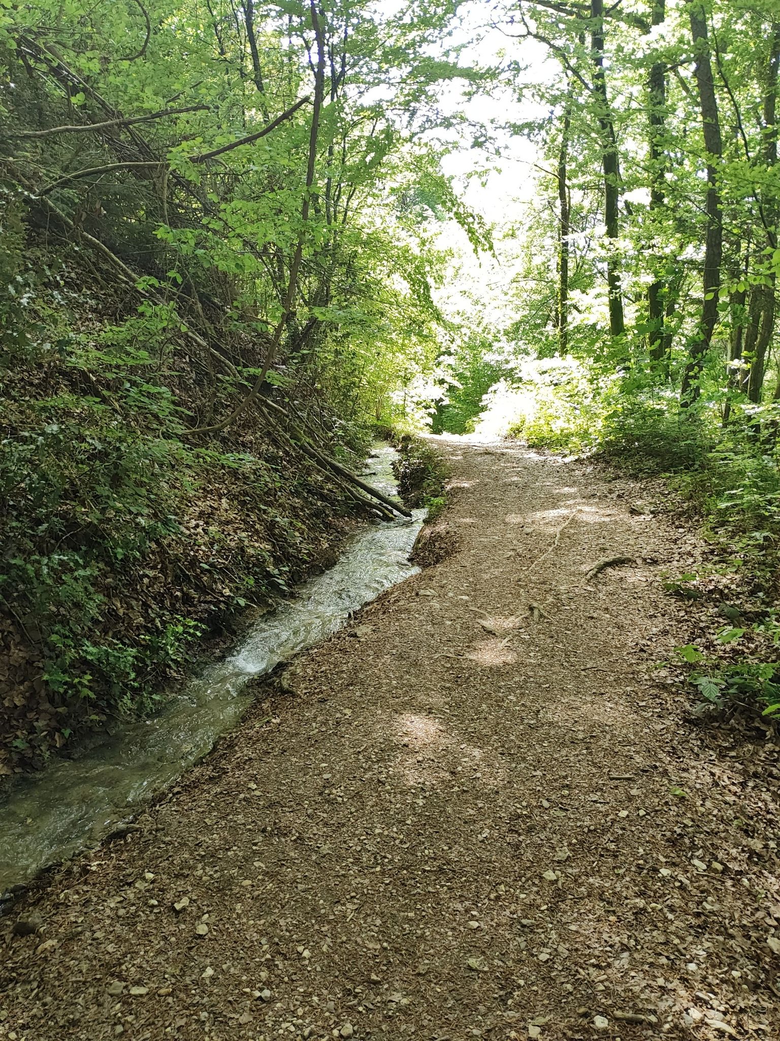 petit ruisseau
