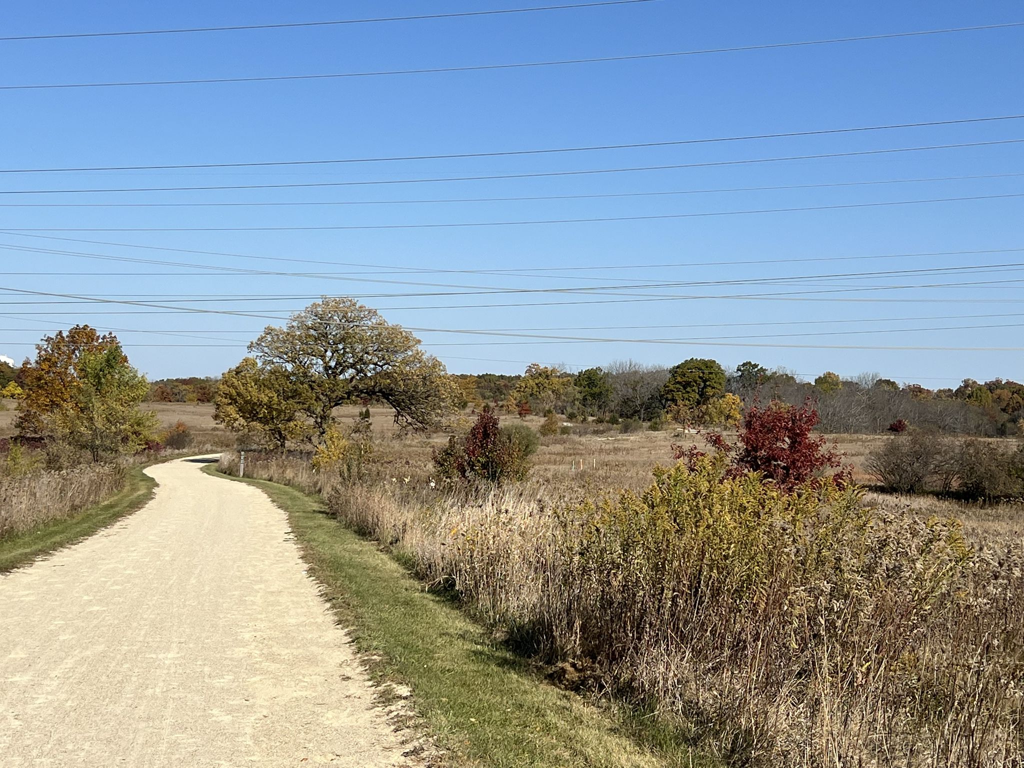 A dirt path winds through a field with autumn trees under a clear blue sky. - Millennium Trail
