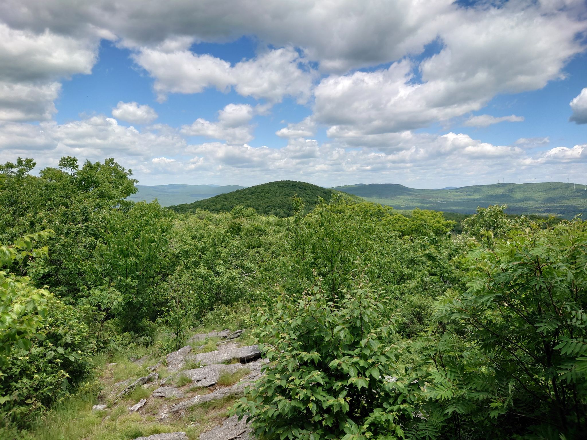 Expansive view of lush green forested hills under a bright, cloudy sky. - Hoosac Range Trail
