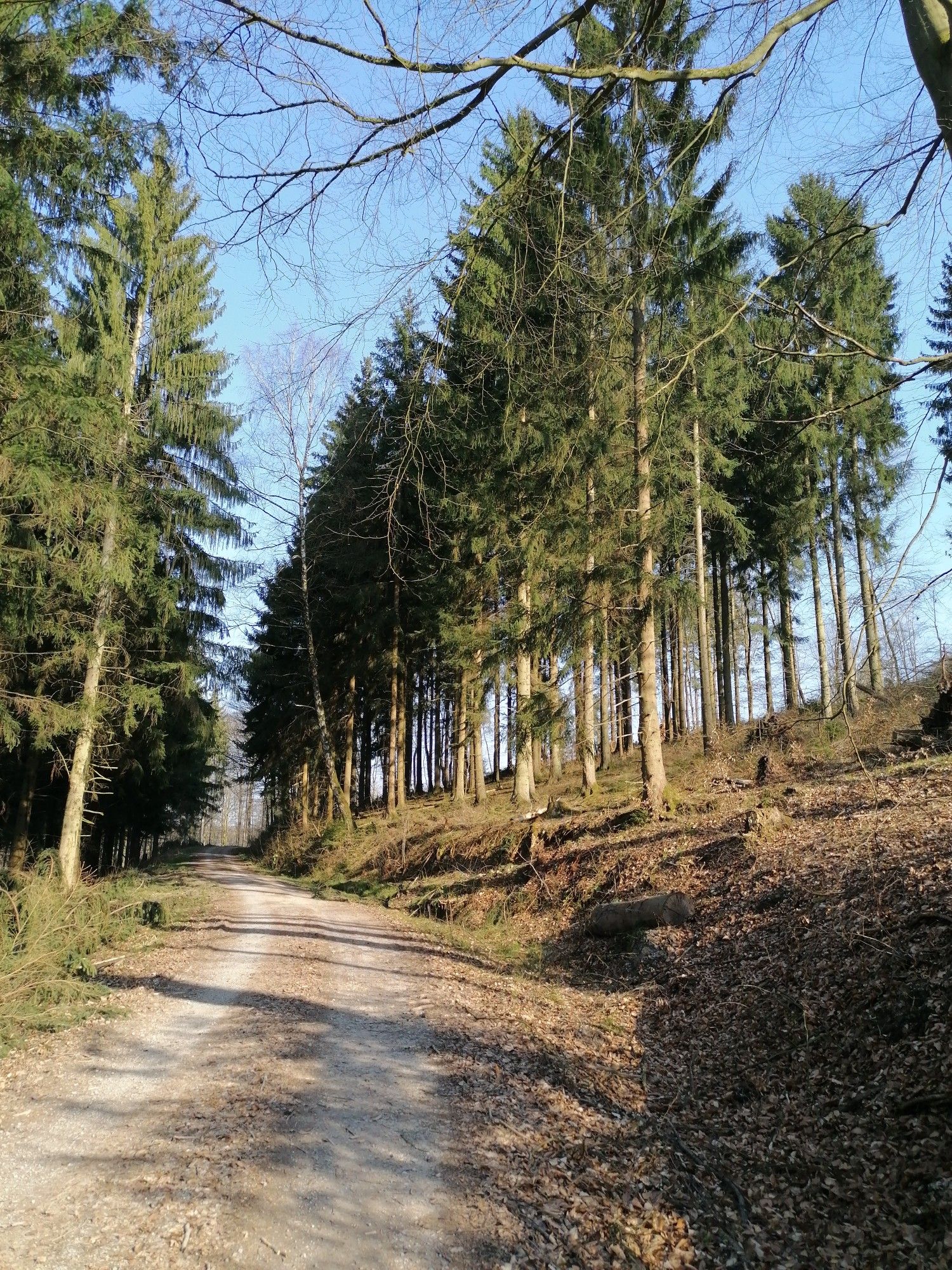 bestes Wetter
