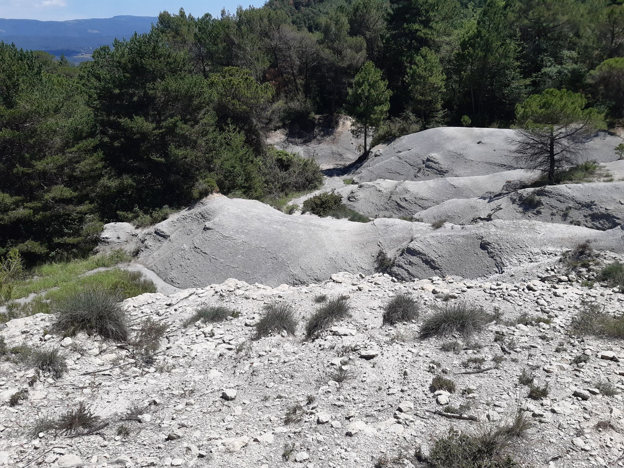 Entre el Km 37 i 38 hi ha una zona mal gravada, cal seguir l'instint del camí i no pas el GPS