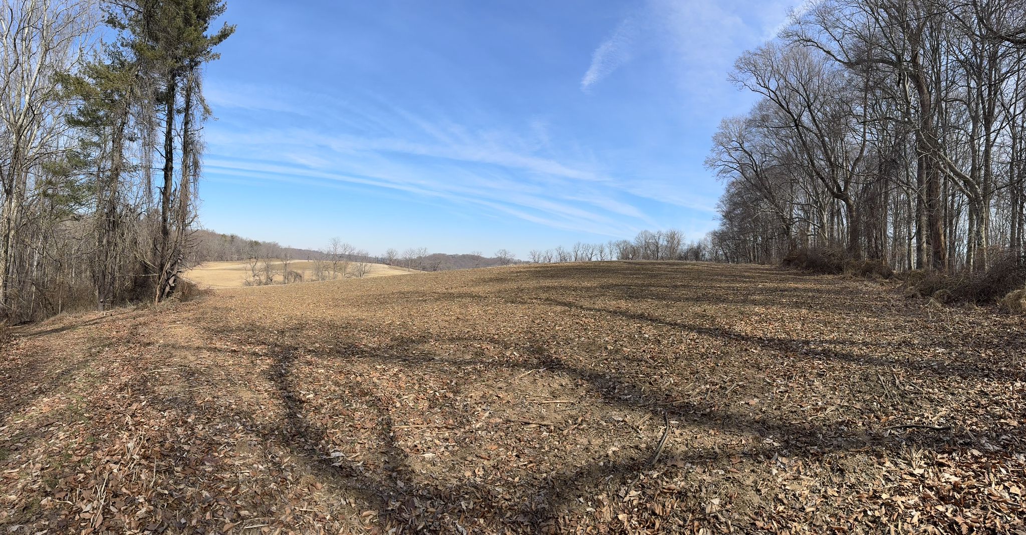 Expansive brown field bordered by bare trees under a bright blue sky. - Edwin Leid, PennDel, and Vaughn's Trails Loop