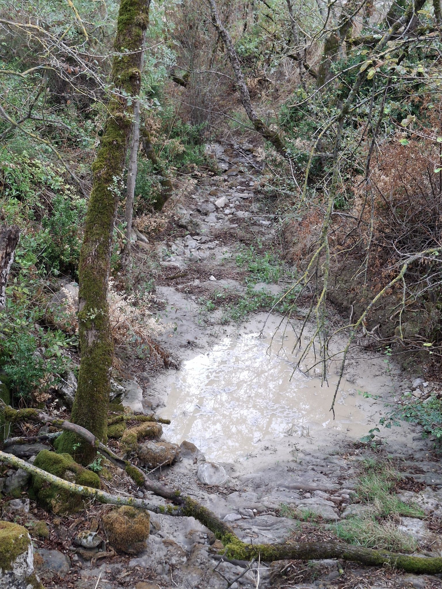 ruisseau de la combe obscur à sec!