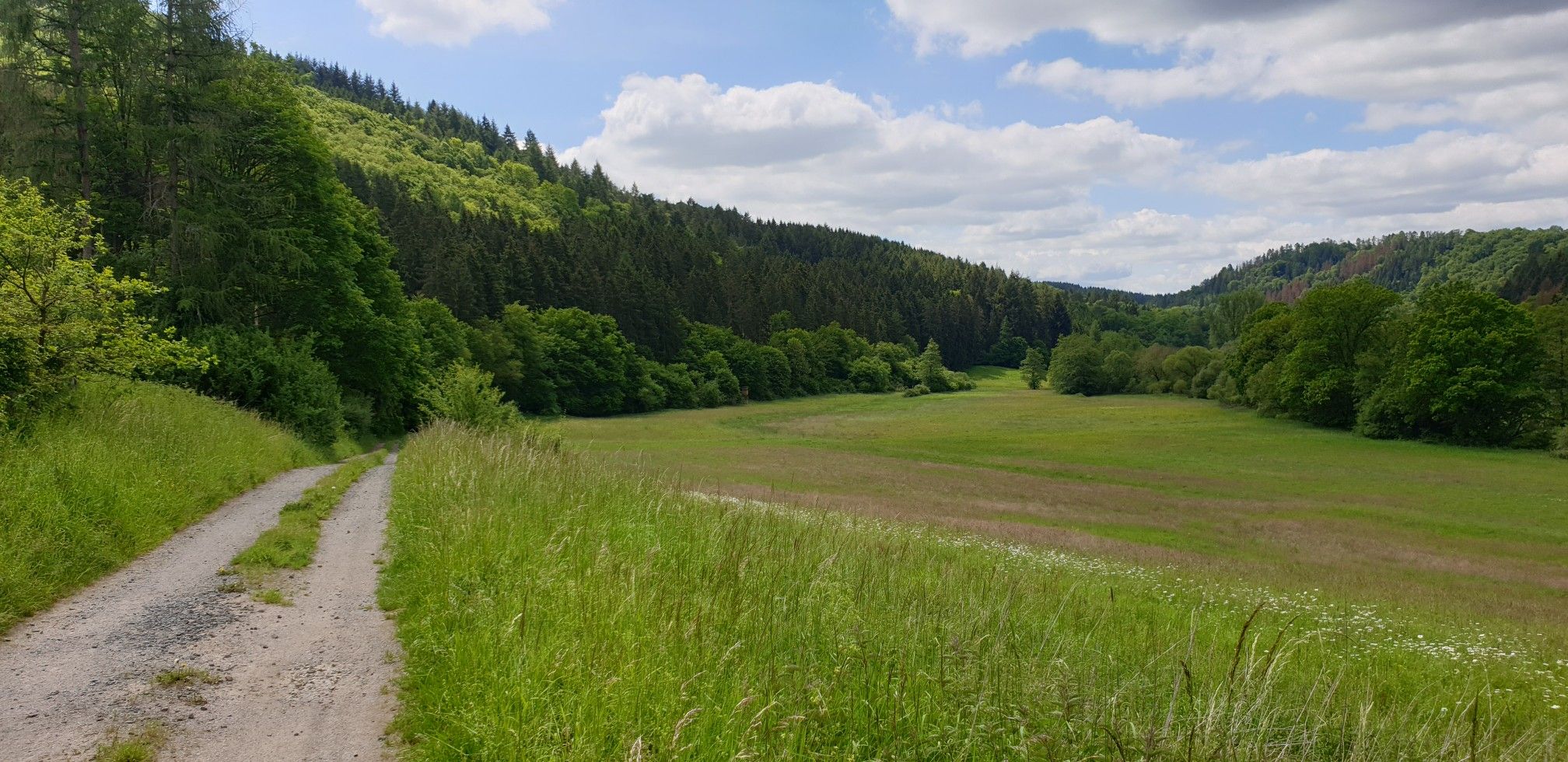 Weg kurz vor Kirschähr