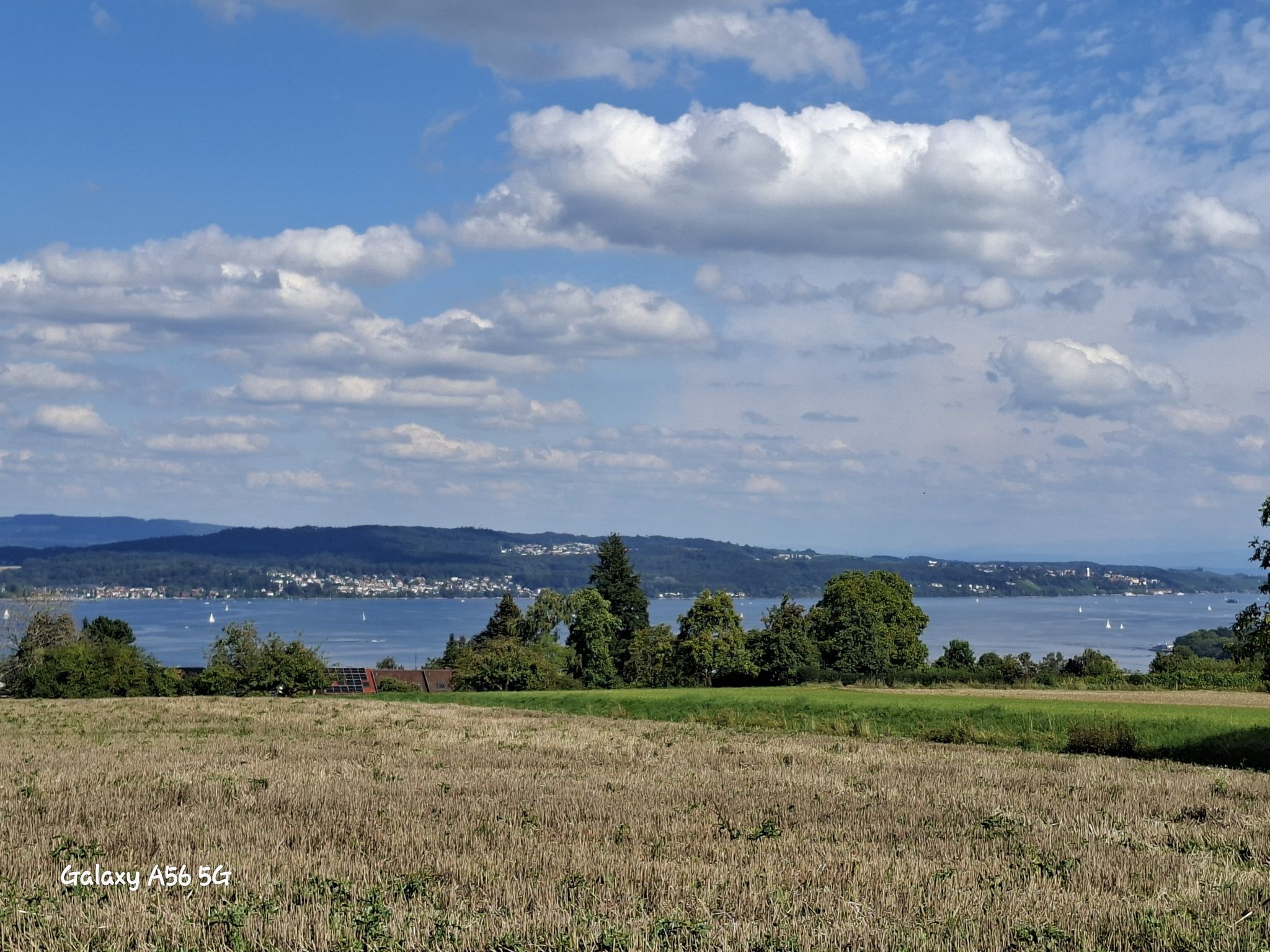Blick vom Purren