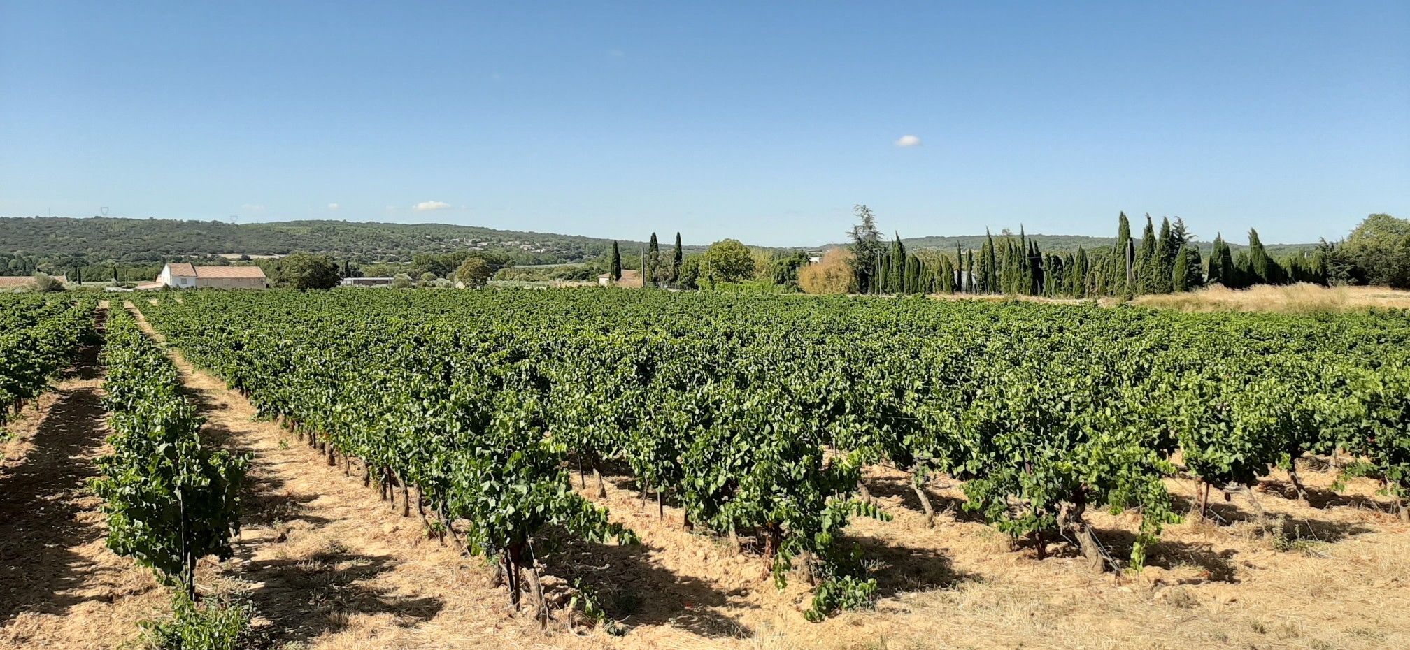 La Galotte