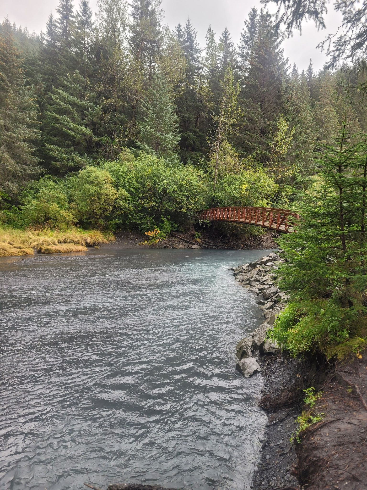 Wooden bridge spans a dark river surrounded by dense green forest. - Caines Head Trail