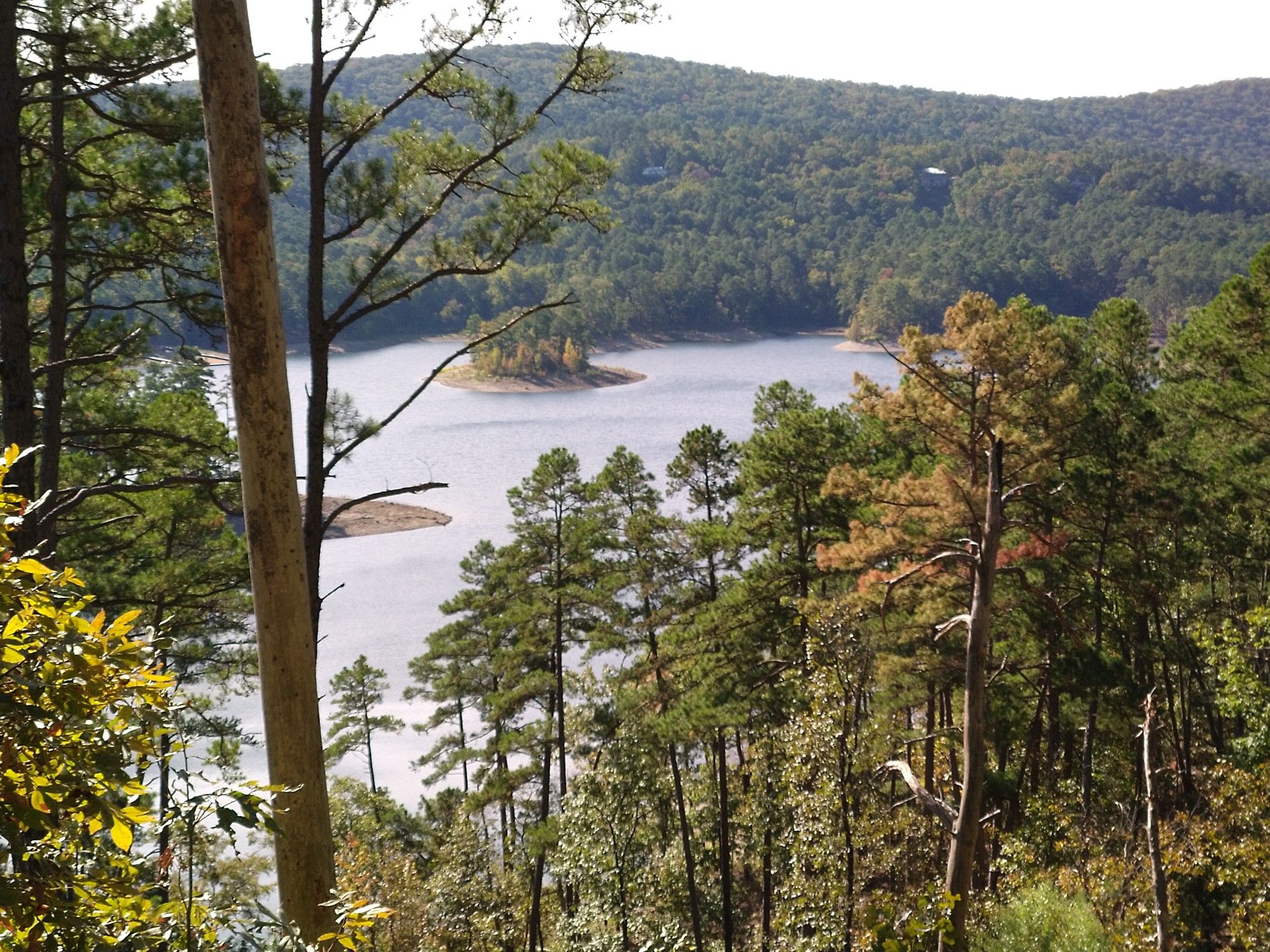 View through dense forest of a winding lake inlet and distant hills. - Caddo Bend Trail