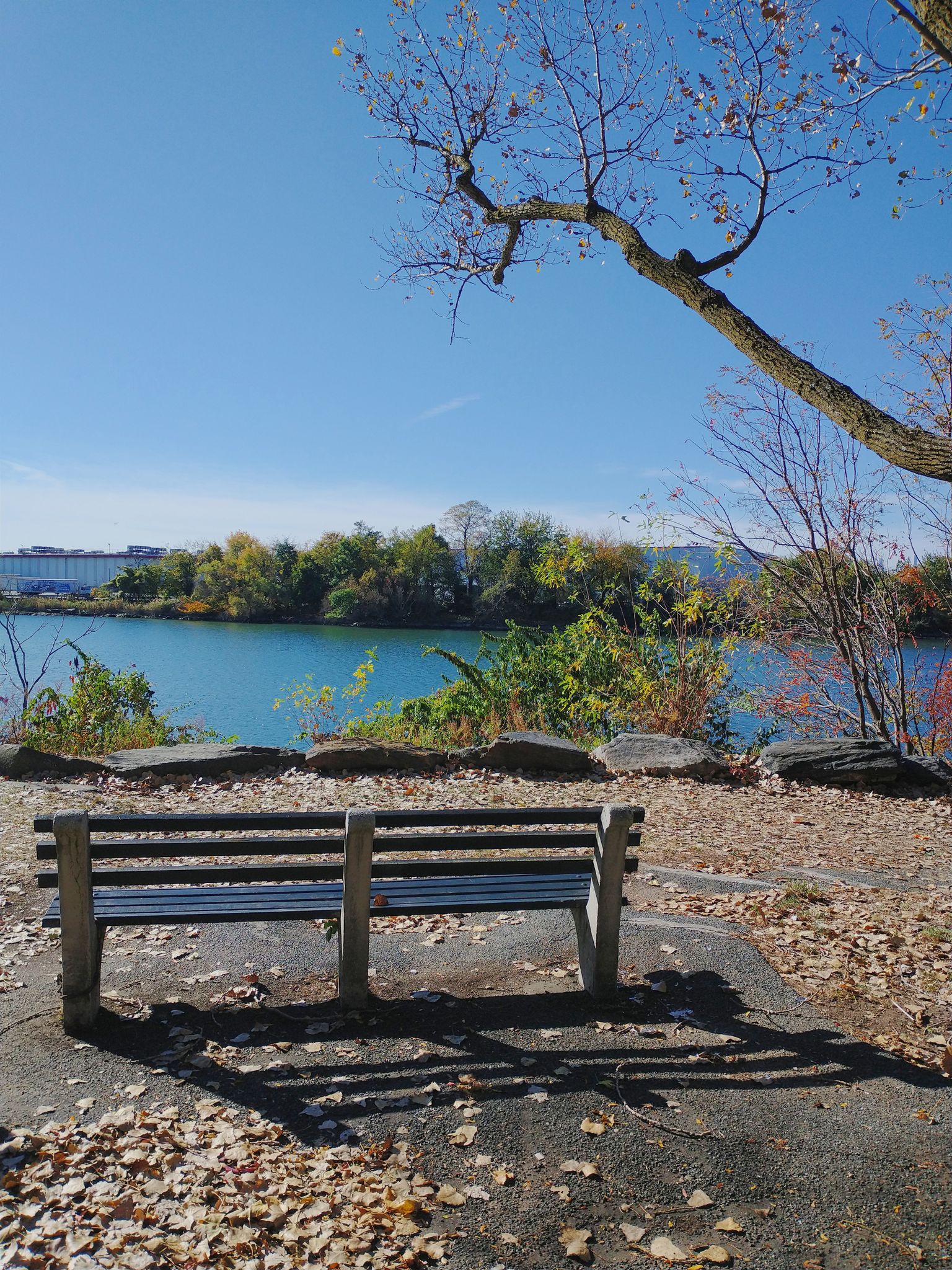 Soundview Park