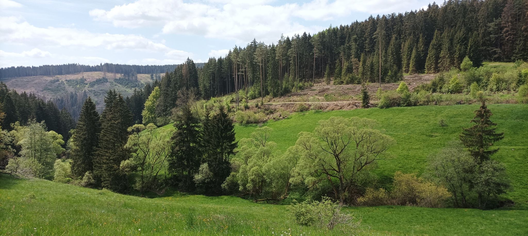 abwärts in den Hirschgrund