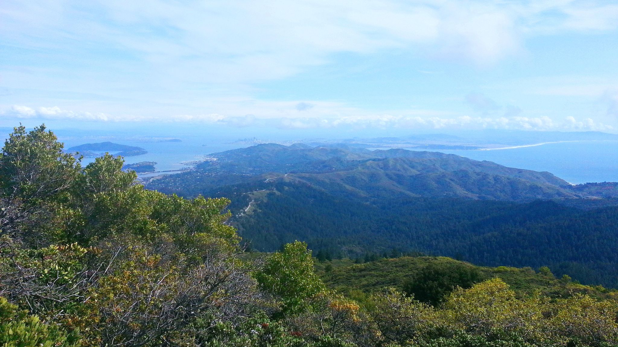 Panoramic view of forested mountains and a distant bay under blue sky. - Eldridge Grade Fire Road