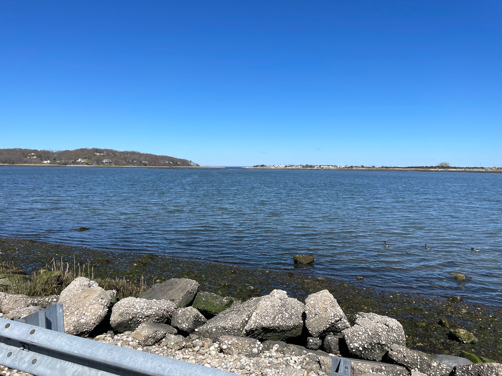 Wide calm water under a clear blue sky, with a rocky shoreline. - Mount Sinai Harbor Loop
