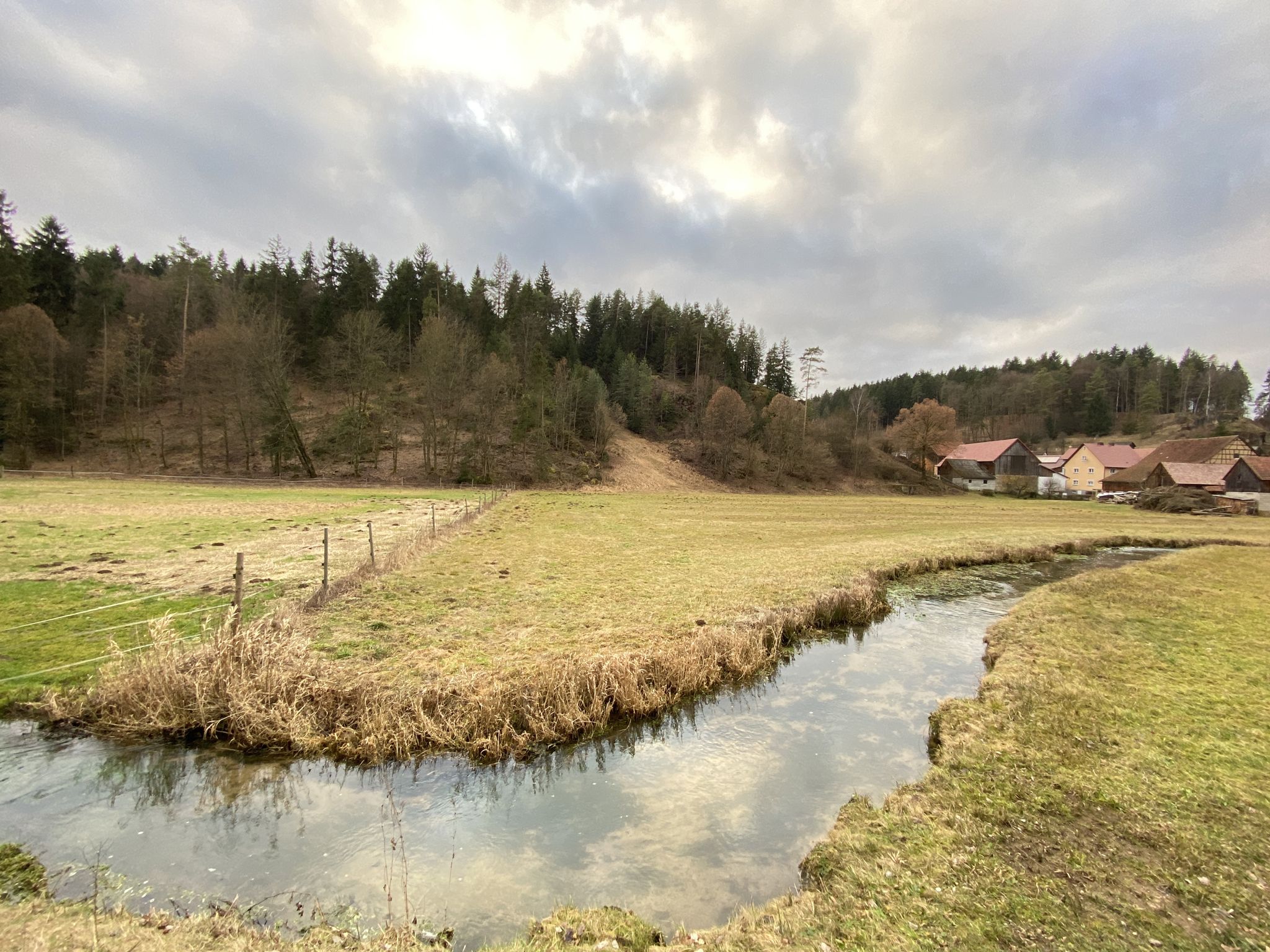 Wiesent Tal 