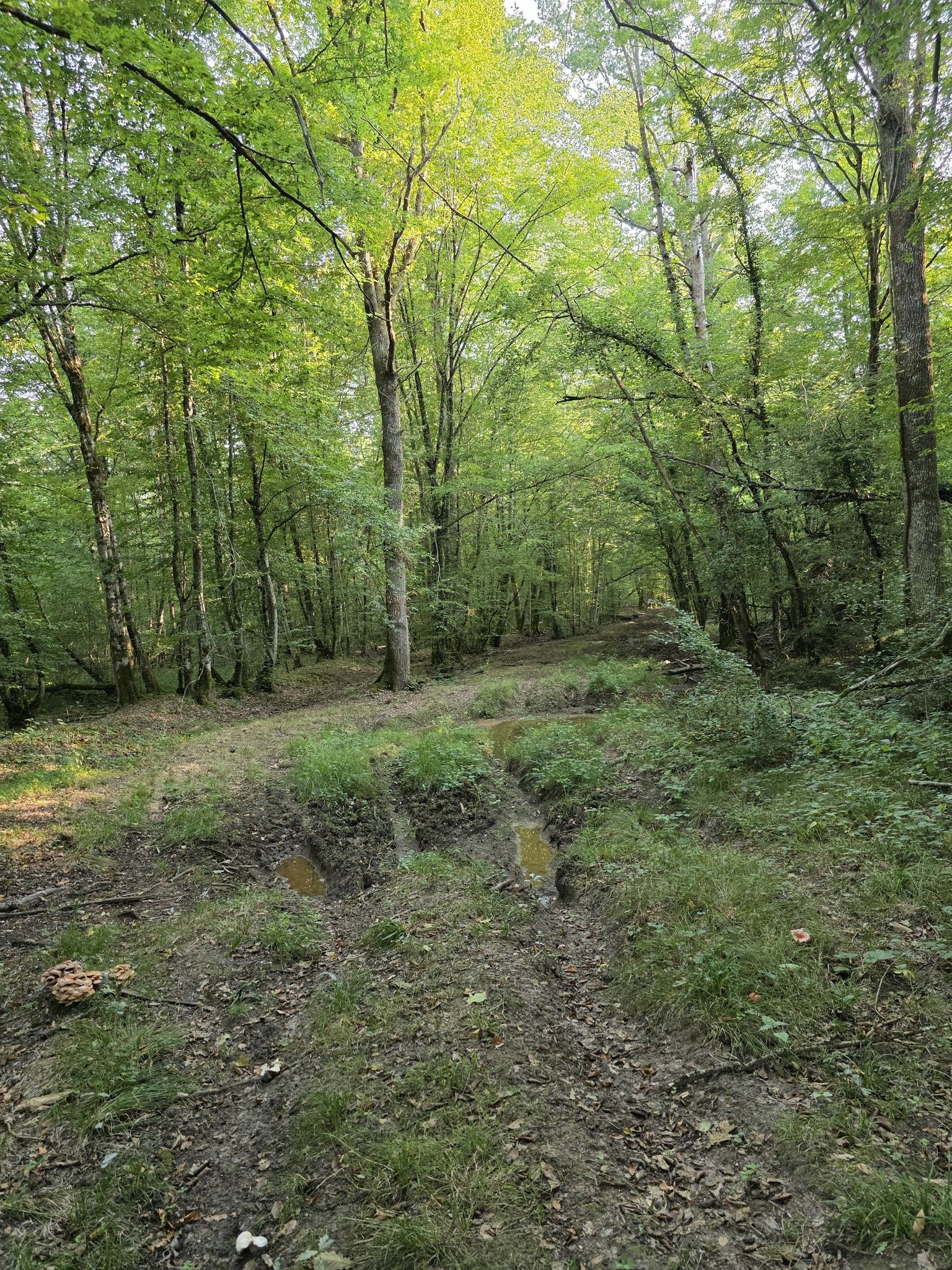 Là on arrive dans une portion tout terrain😉