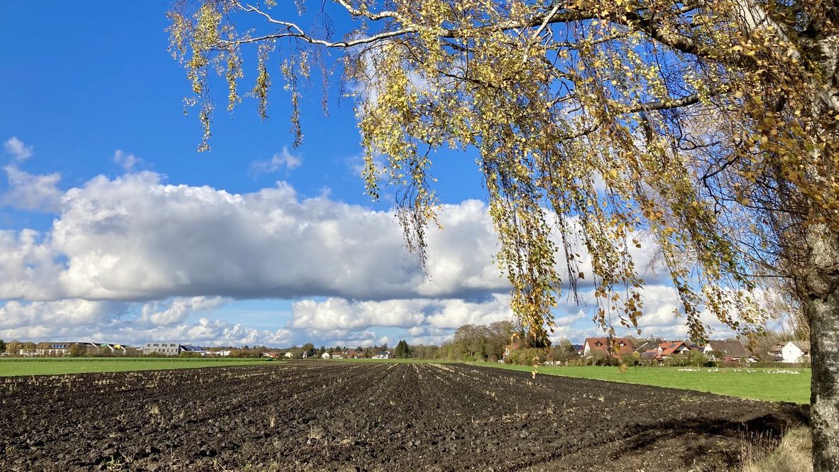 mehr Wolkenbilder gibts sicher bei @Lucody