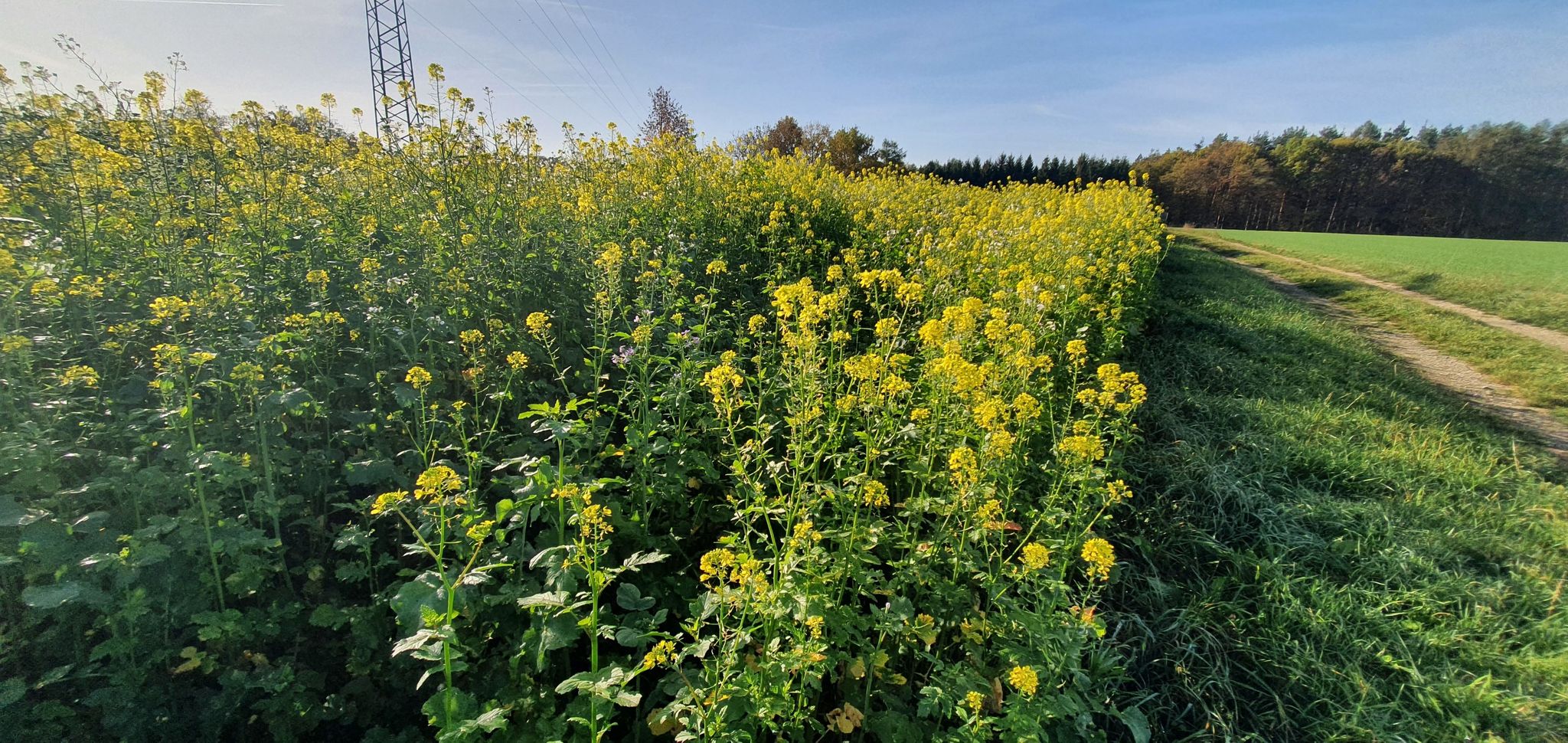ein Hauch von Frühling liegt in der Luft...