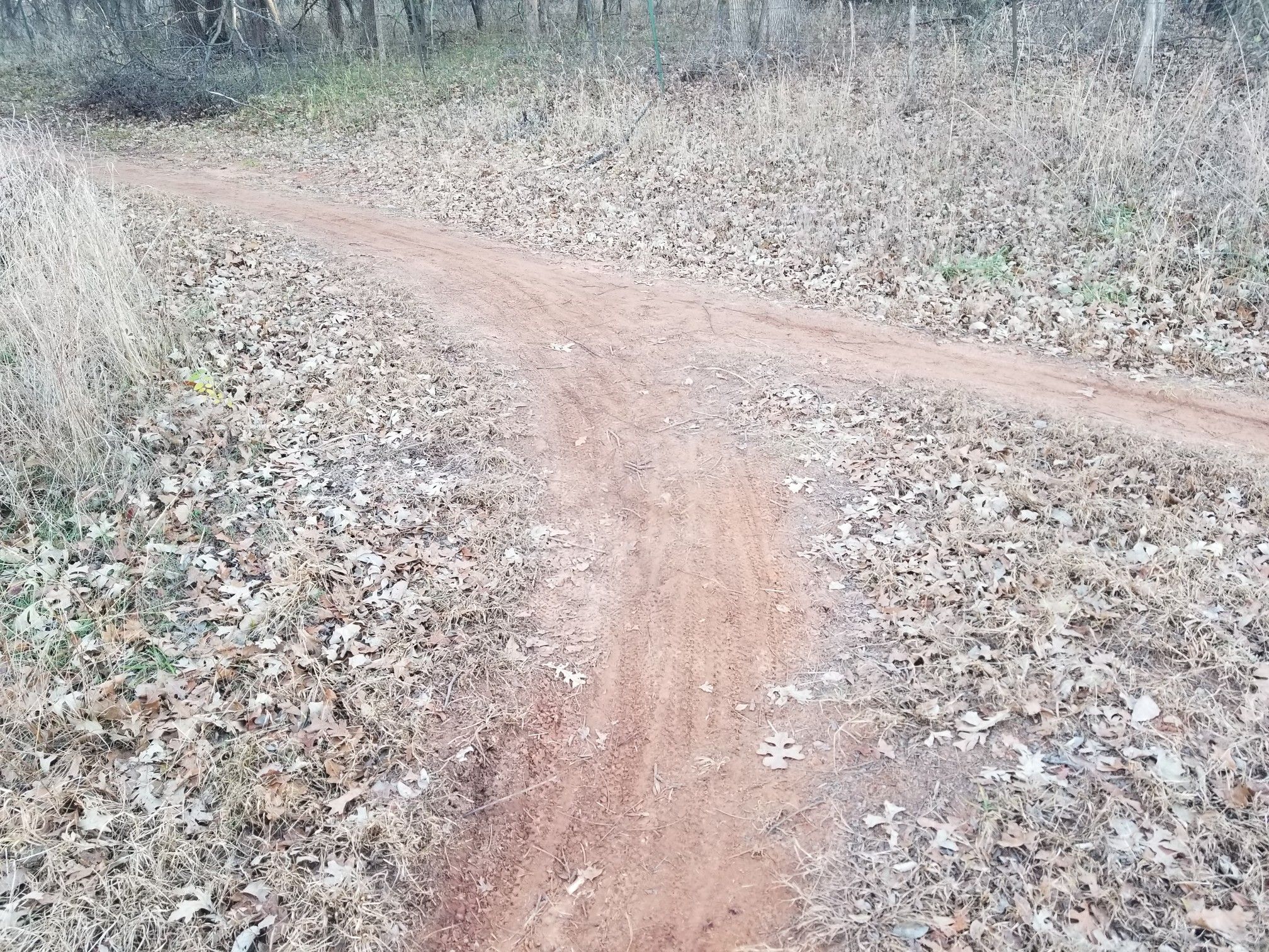 Dirt trail forks through dry grass and fallen leaves in a forest. - Spring Creek Trail – Lake Arcadia loop from Mercy Fitness Center