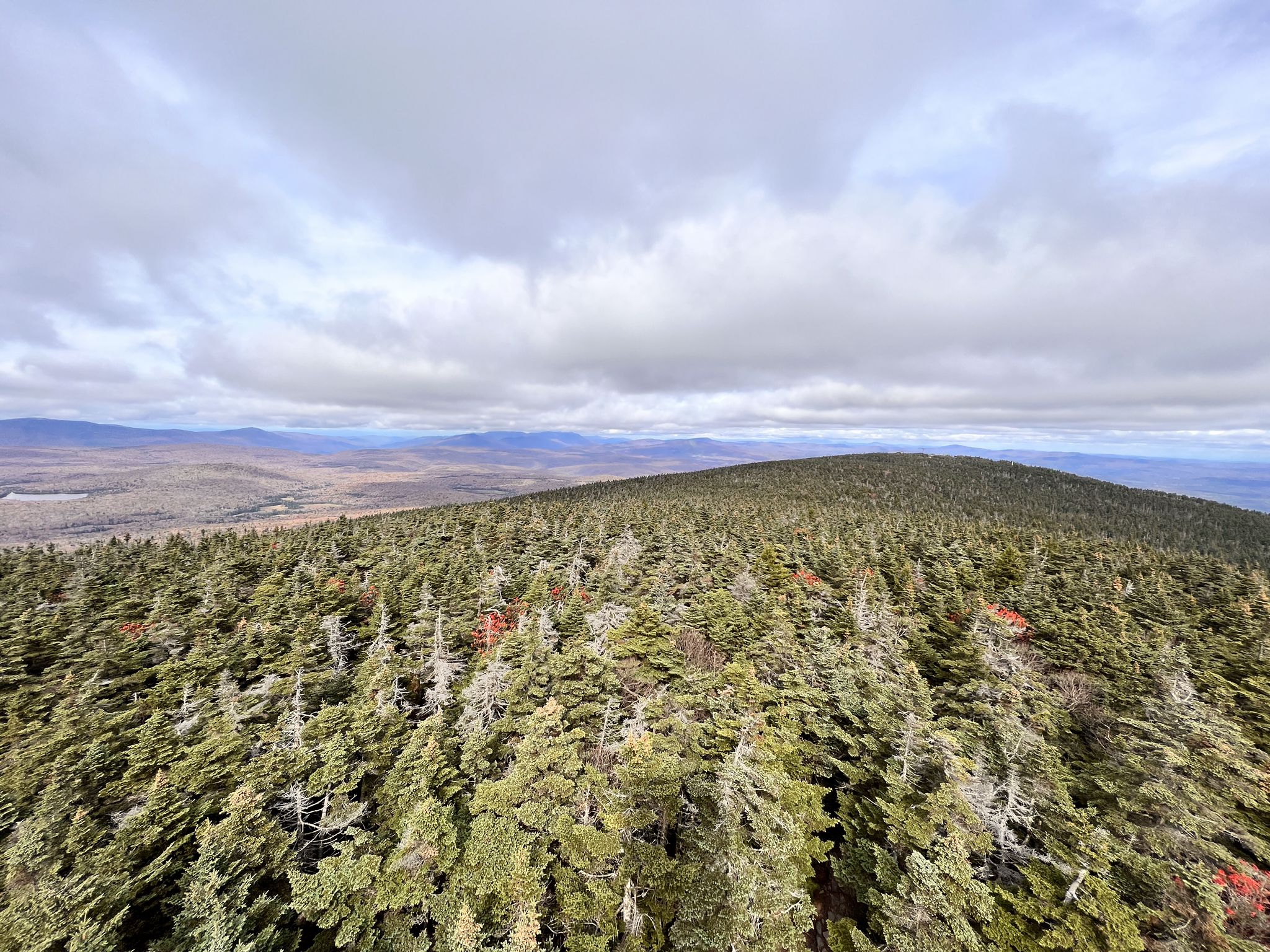 Dense evergreen forest covers rolling hills under an overcast sky. - Stratton Mountain and Stratton Pond Loop