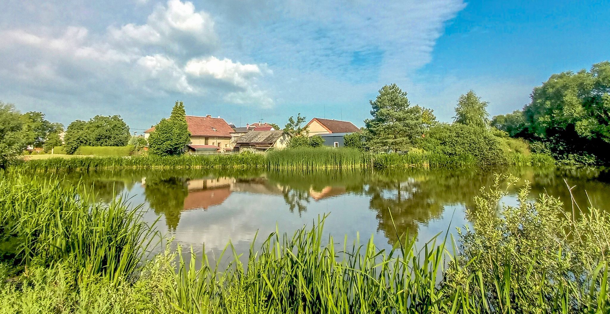 Babice